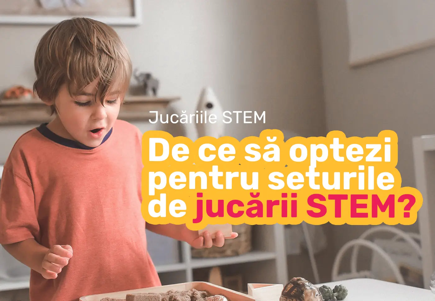 De ce sa optezi pentru seturile de jucarii STEM de la Libraria cu Idei?