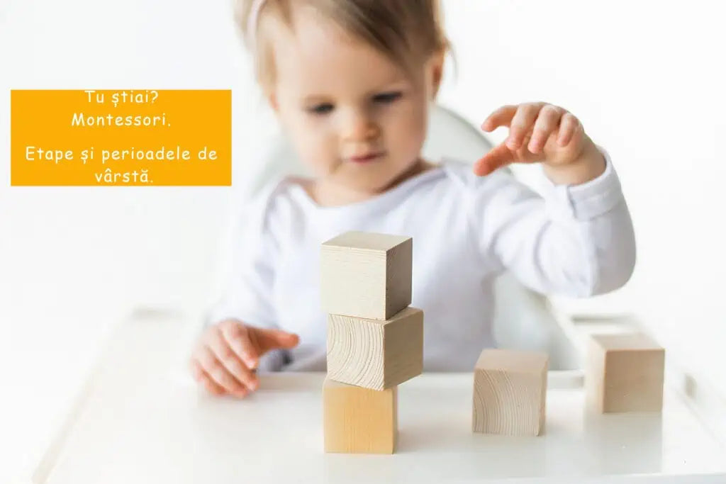 Tu știai? Totul despre educația Montessori. Etape și perioadele de vârstă.