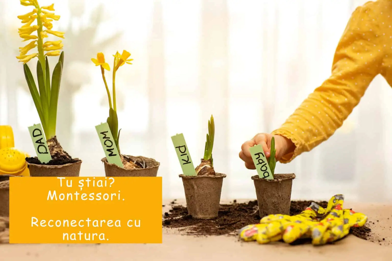Tu știai? Totul despre educația Montessori. Reconectarea cu natura.
