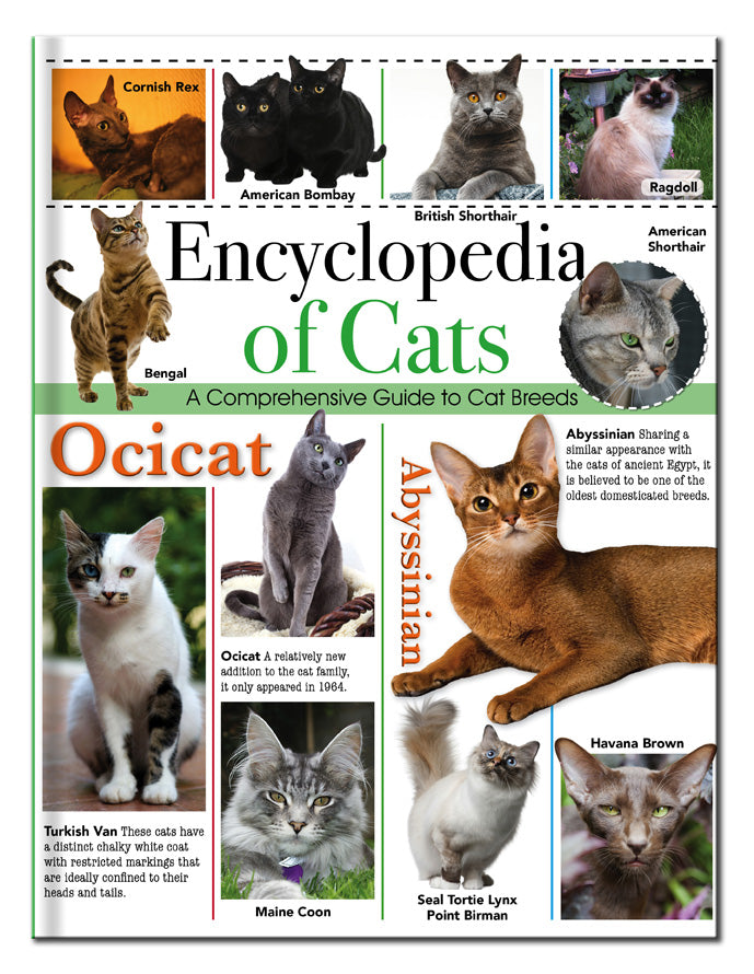 128PP OMNIBUS - ENCYLOPEDIA OF CATS