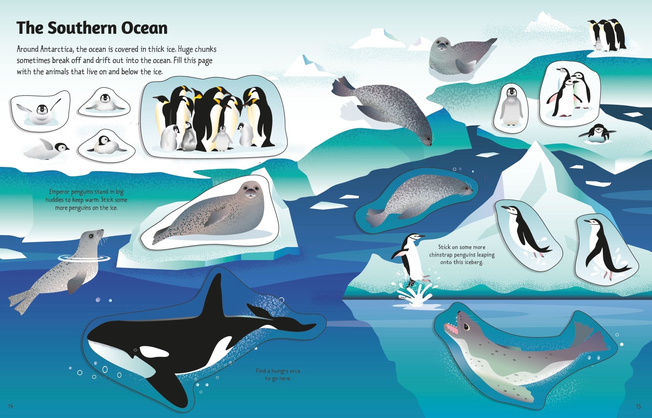 Primul meu album cu autocolante: Oceanele, Usborne, 3 ani