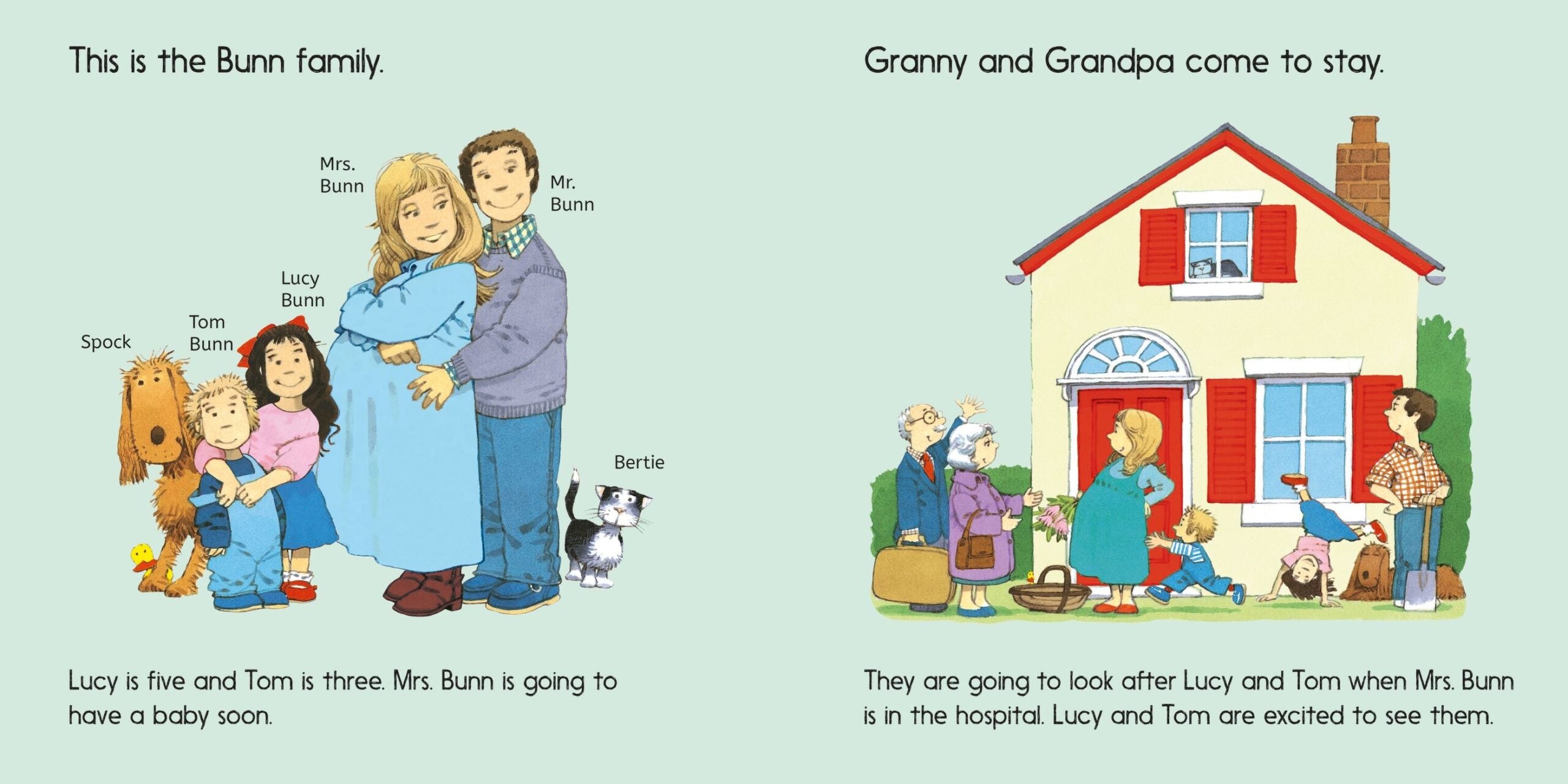 Carte pentru copii, Usborne, The New Baby, 2+ ani