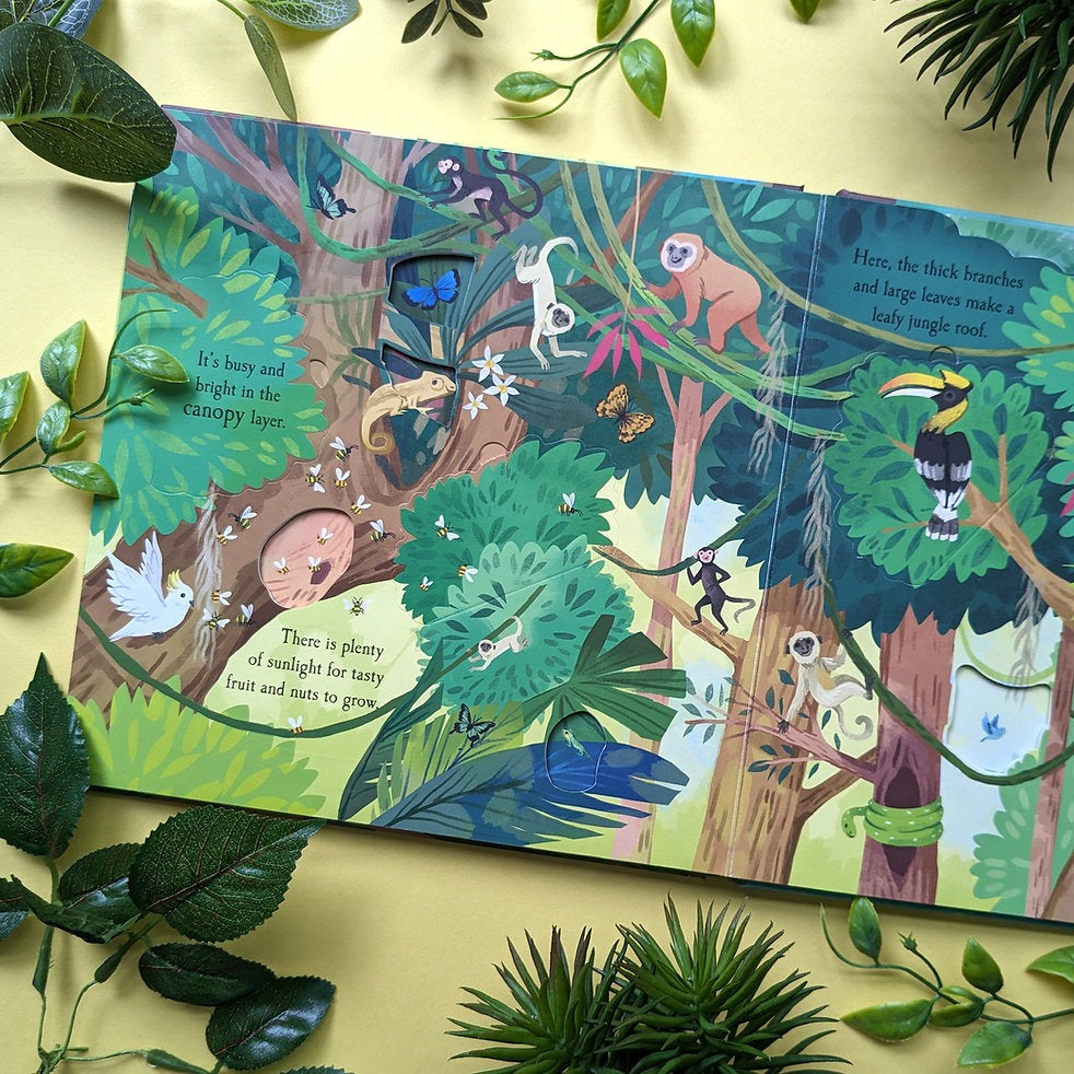 Carte cu clapete, NPP, RAINFOREST, 1 an+