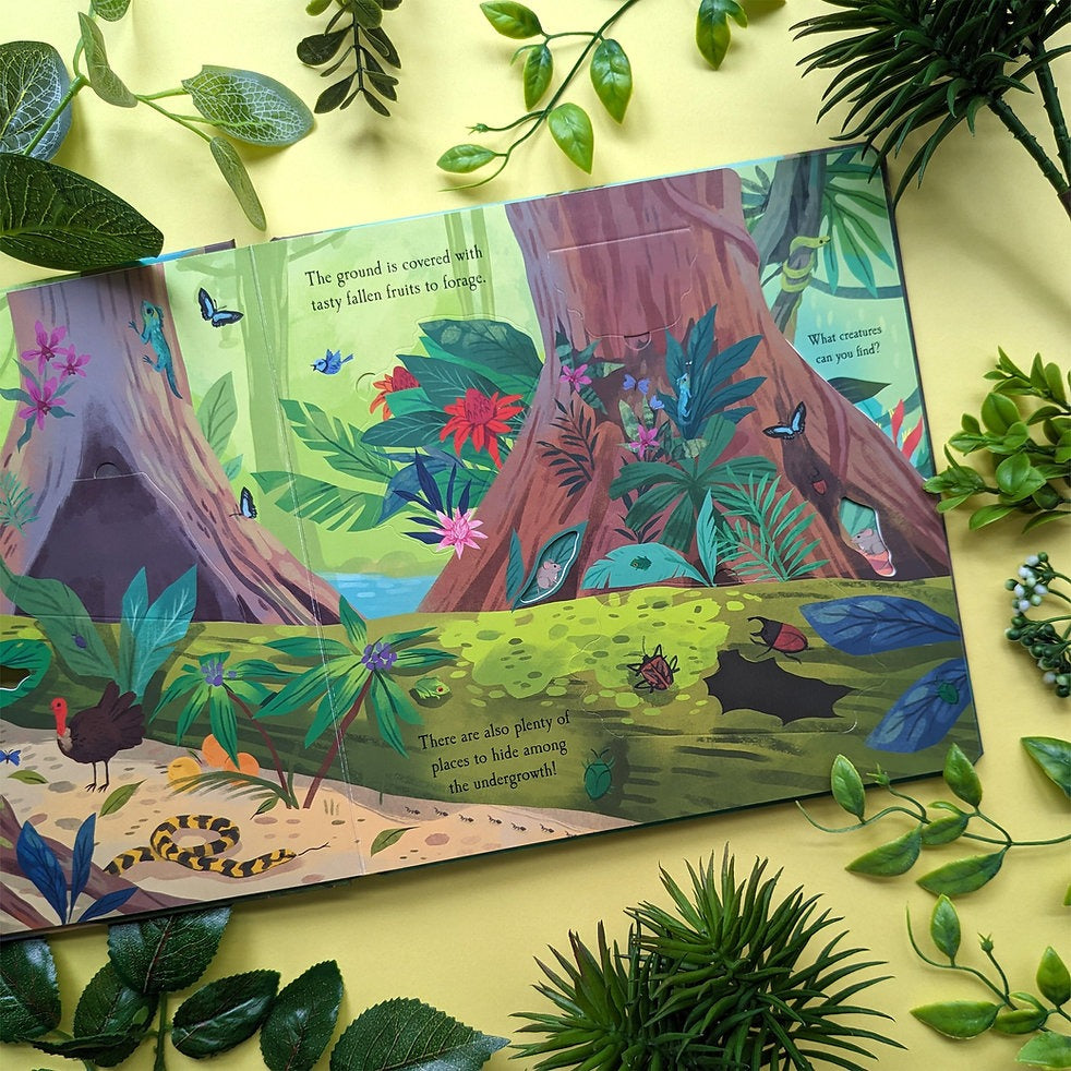 Carte cu clapete, NPP, RAINFOREST, 1 an+