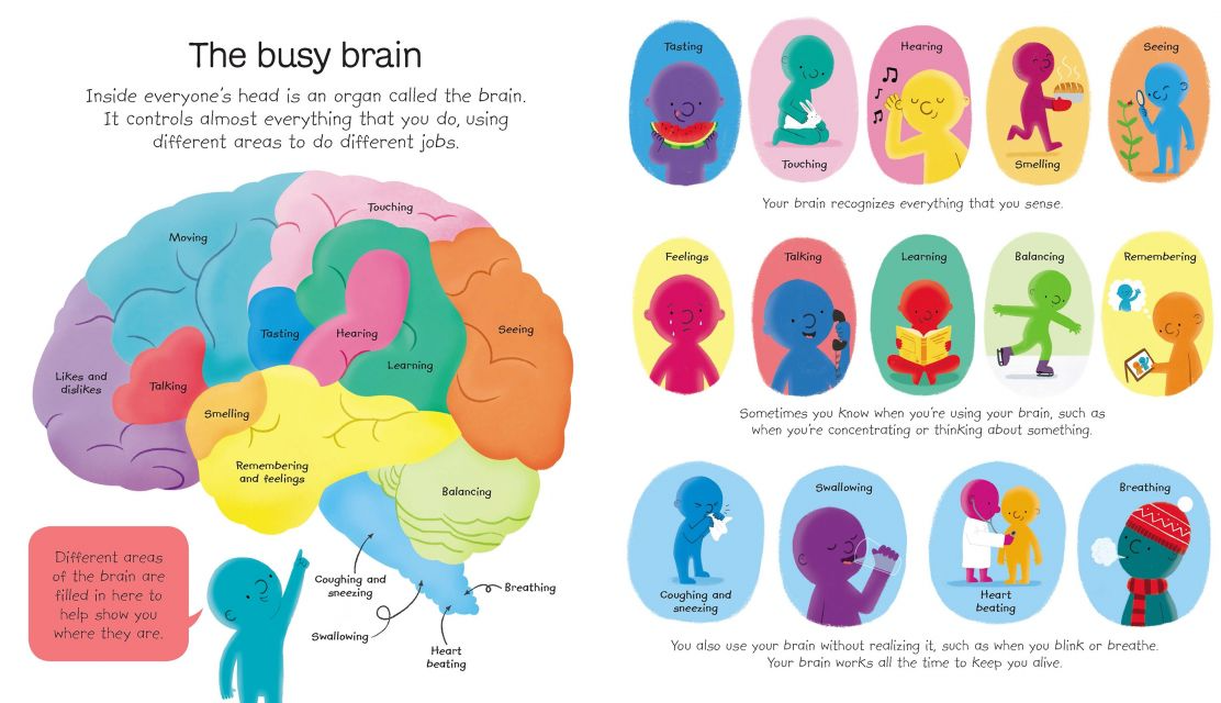 Carte pentru copii, Usborne, My First Body Book, 3+ ani