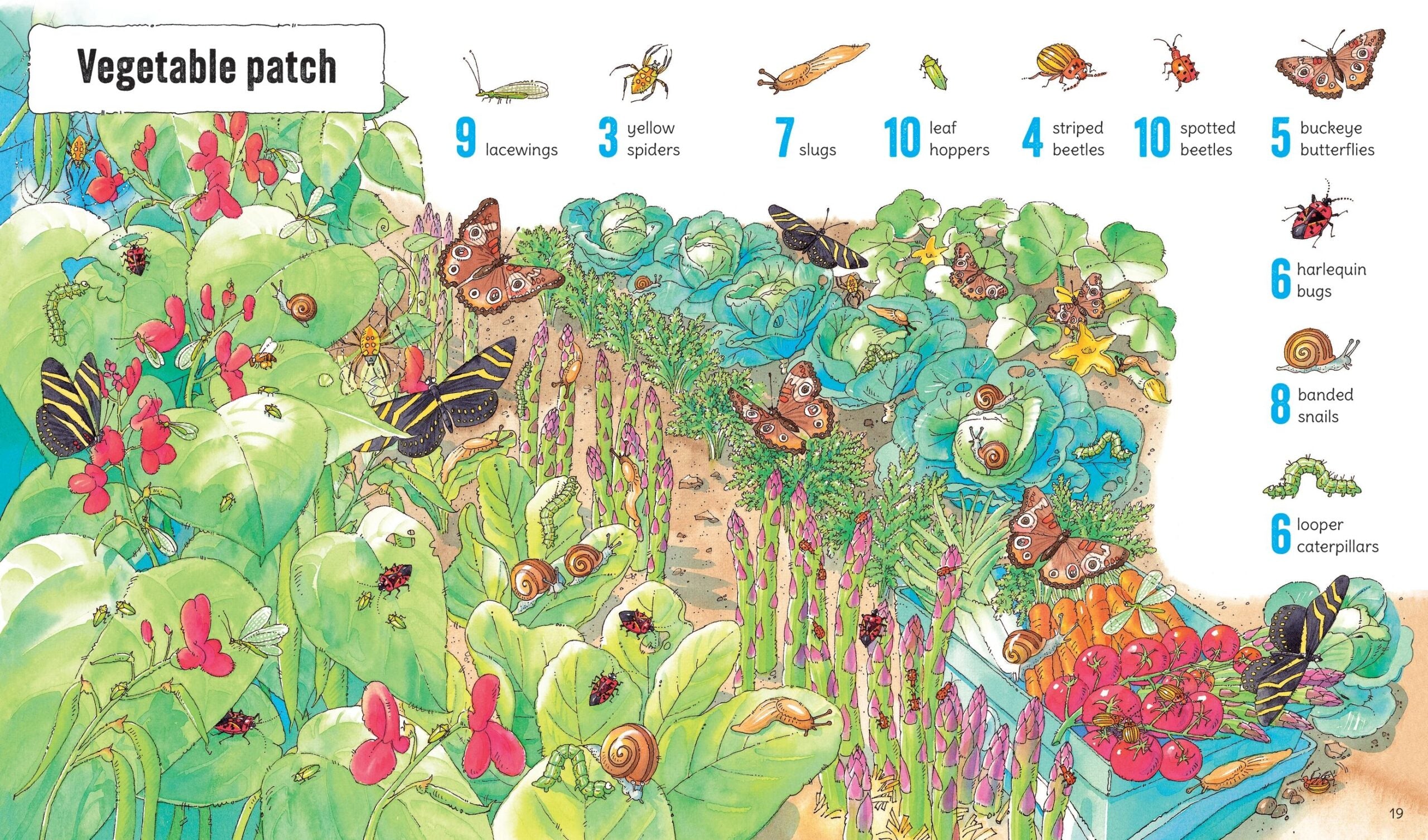 Carte pentru copii, Usborne, 1001 Bugs to Spot, 5+ ani