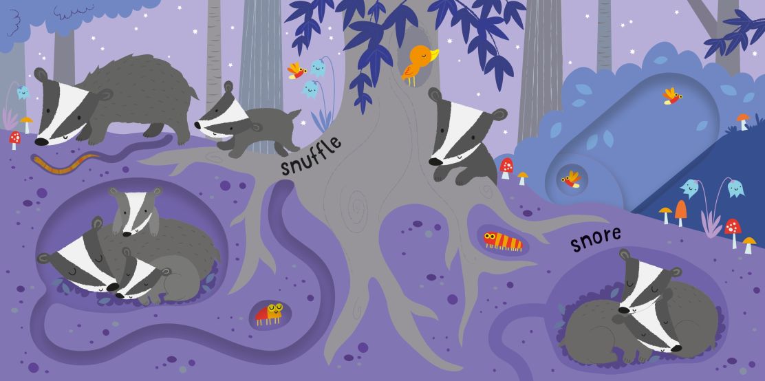 Slide and See Night Time