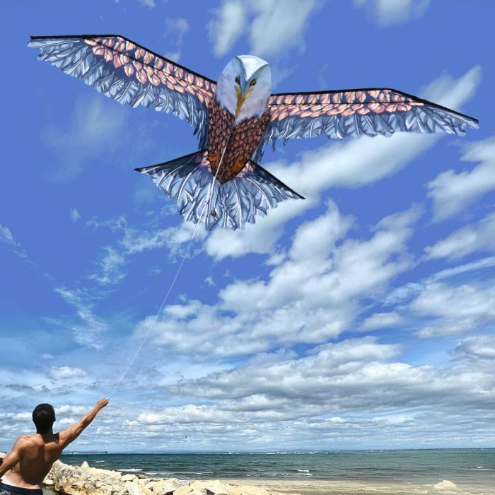 Zmeu 3D Eagle XXL