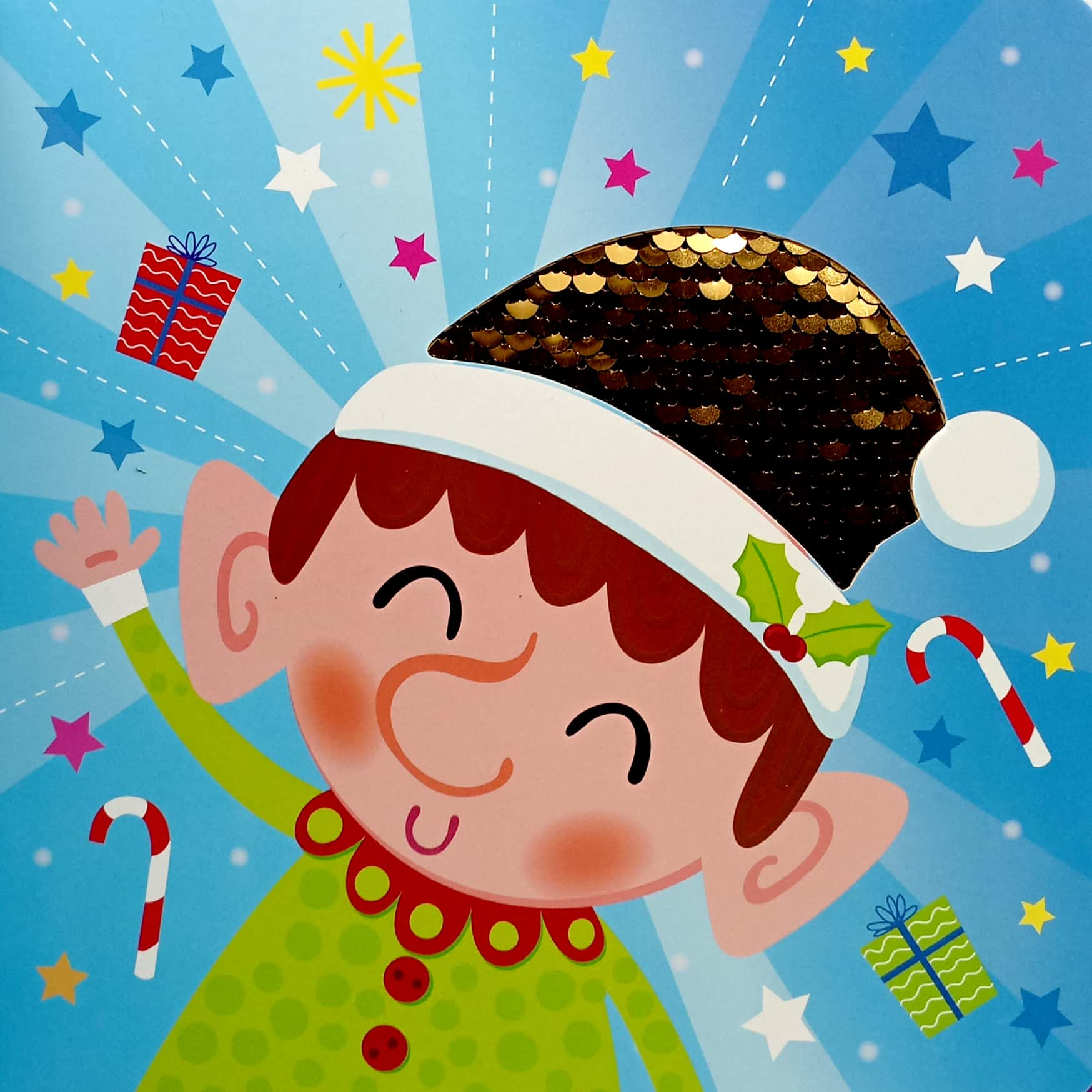 XMAS SEQUIN BOOKS - ELF