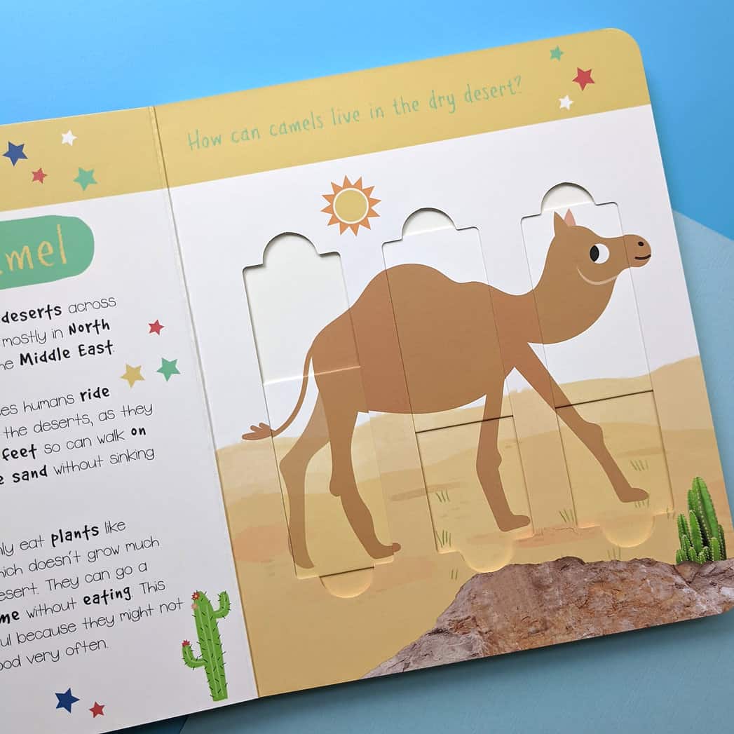 Carte pentru copii - Little wonders puzzle slider books - desert animals