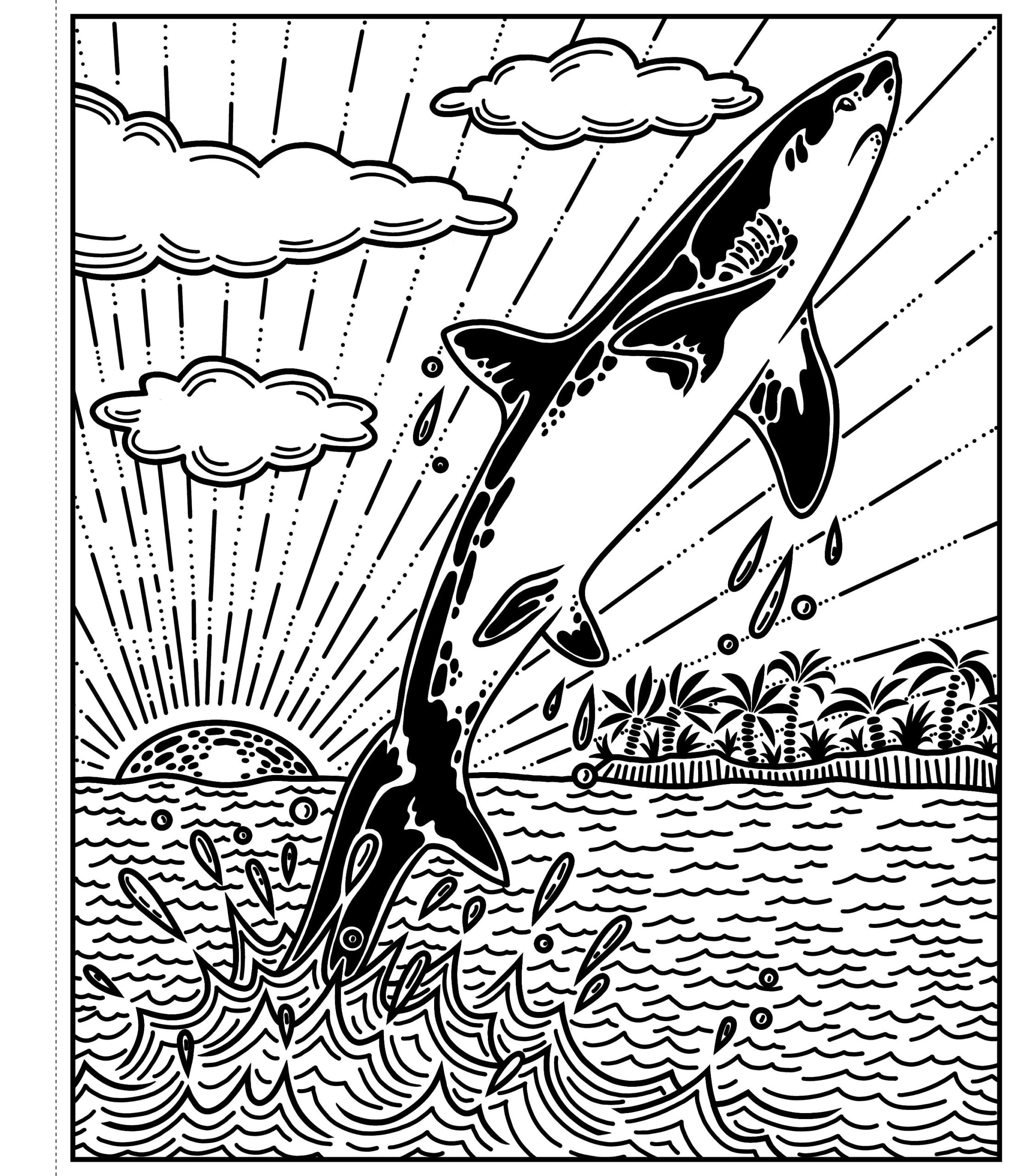 Sharks Magic Painting Book, Usborne, + 3 ani