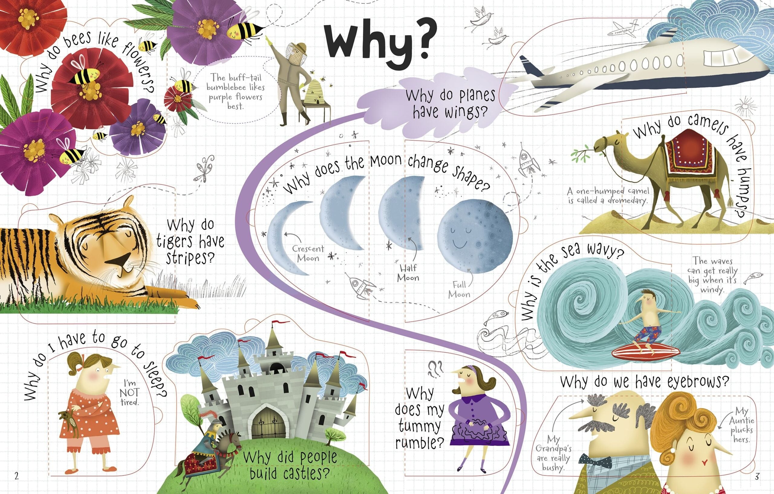 Carte Întrebări și răspunsuri cu clapete - Usborne