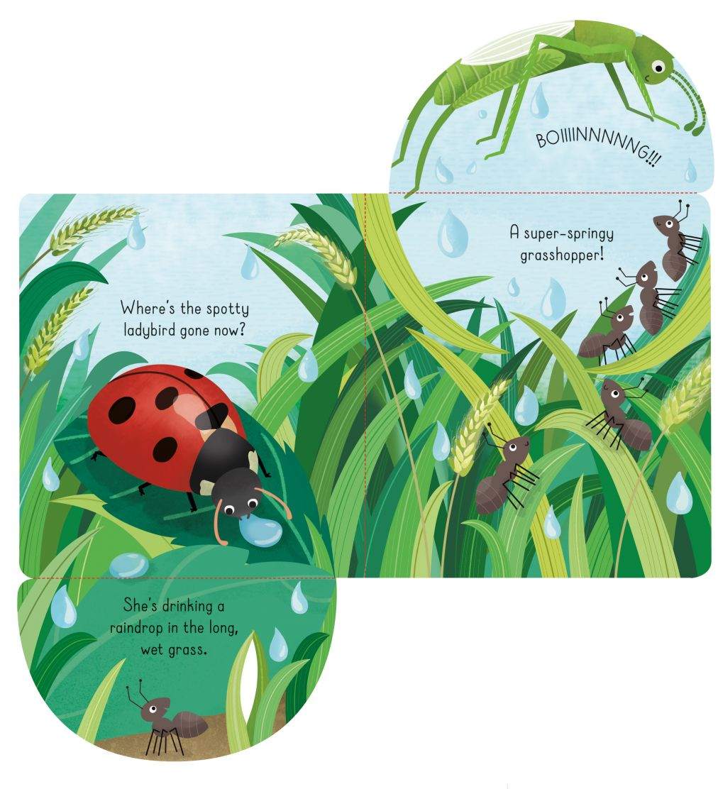 Carte pentru copii, Usborne, Little Lift and Look Bugs, 10+ luni
