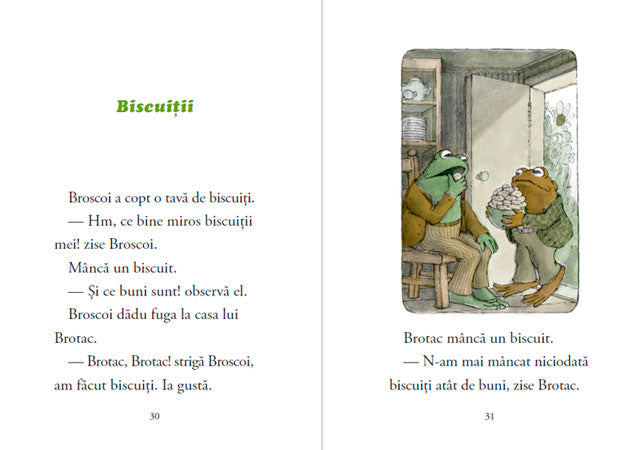 Broscoi si Brotac, mereu impreuna