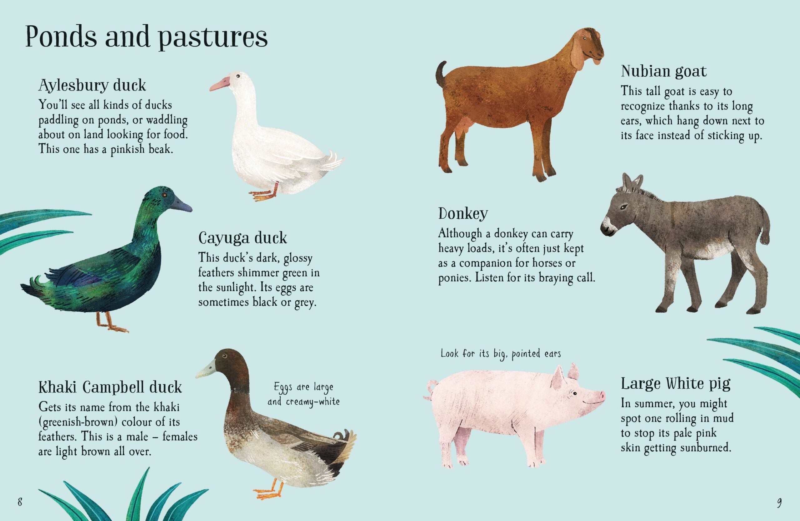 Carte pentru copii, Usborne, Farm Animals to Spot, 6+ ani