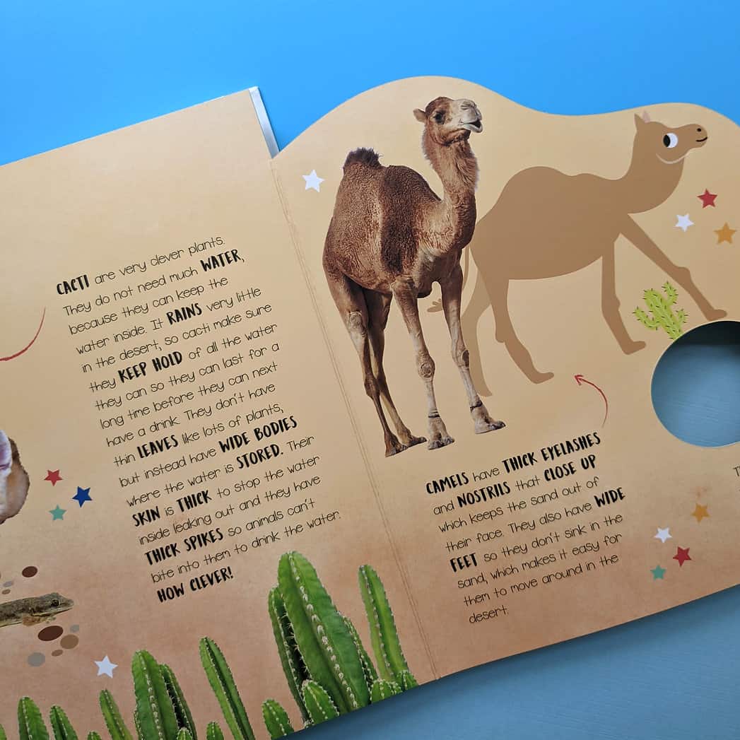 Carte pentru copii - Little Wonders Habitats Multi-Flap Board Book
