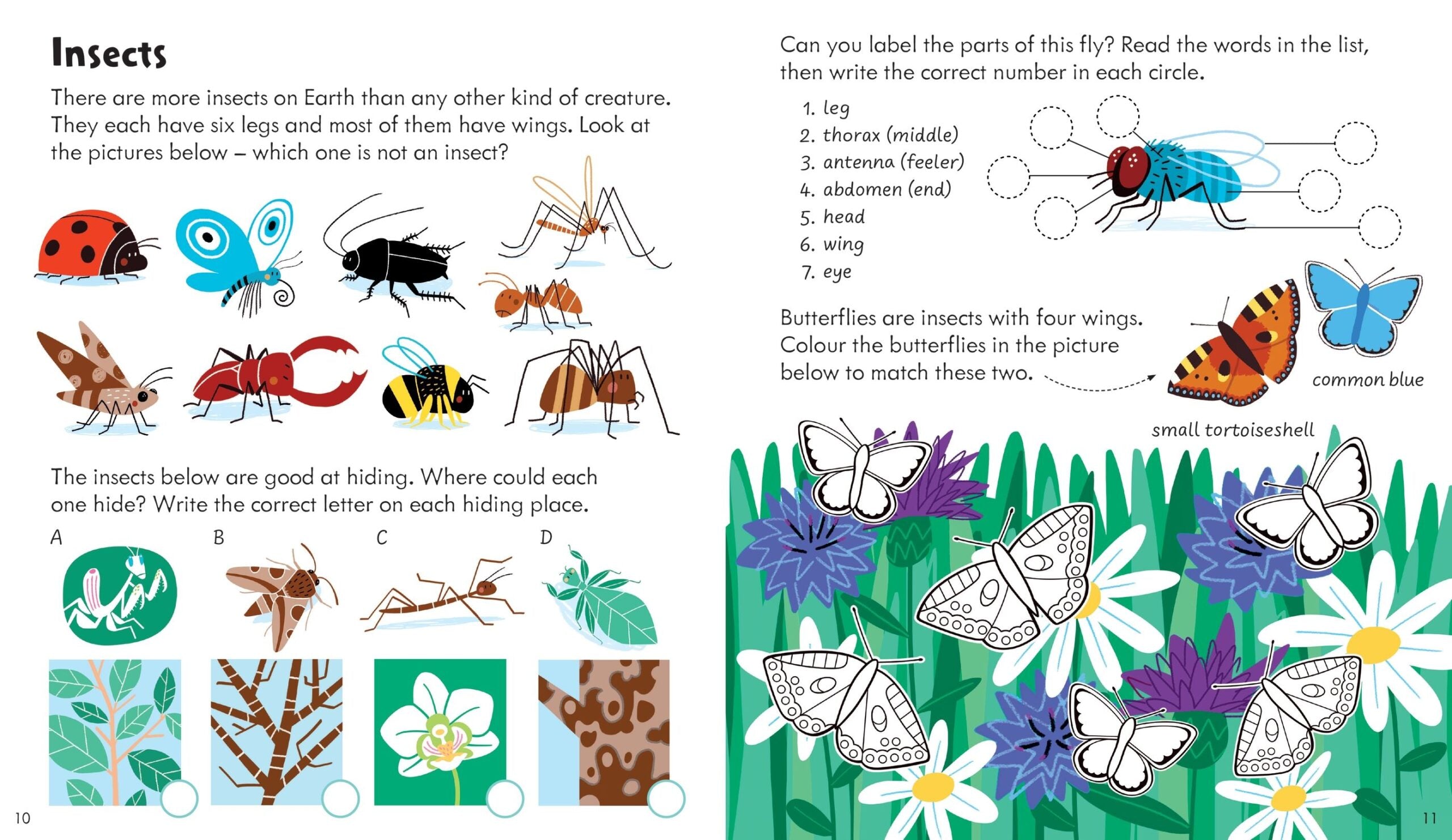 Carte pentru copii, Usborne, Activity Book Nature, 4+ ani