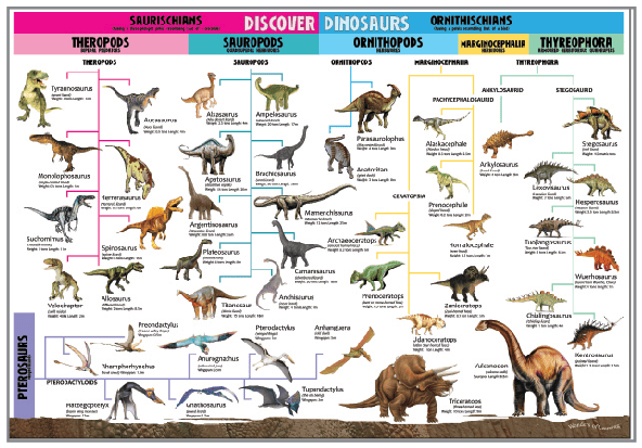 Wonders of Learning Model Set - Dinosaurs