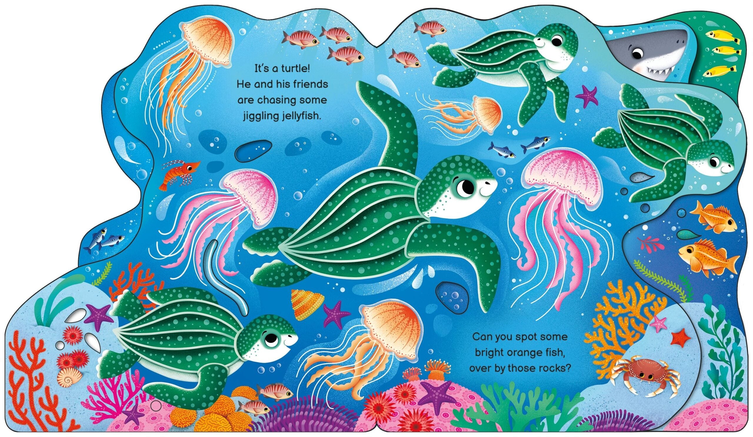Carte pentru copii, Usborne, Who's in the Ocean Today?, 12+ luni