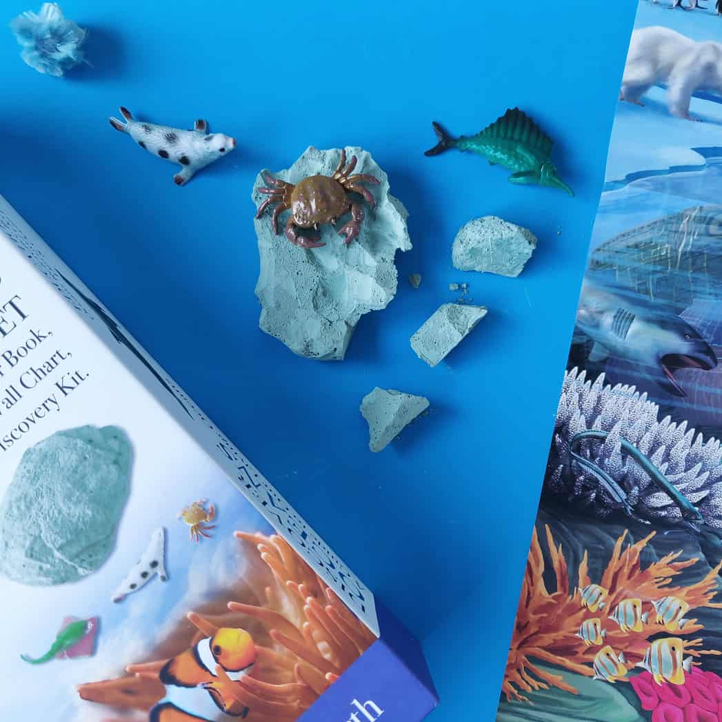 Wonders of Learning Box Set - Discover Oceans