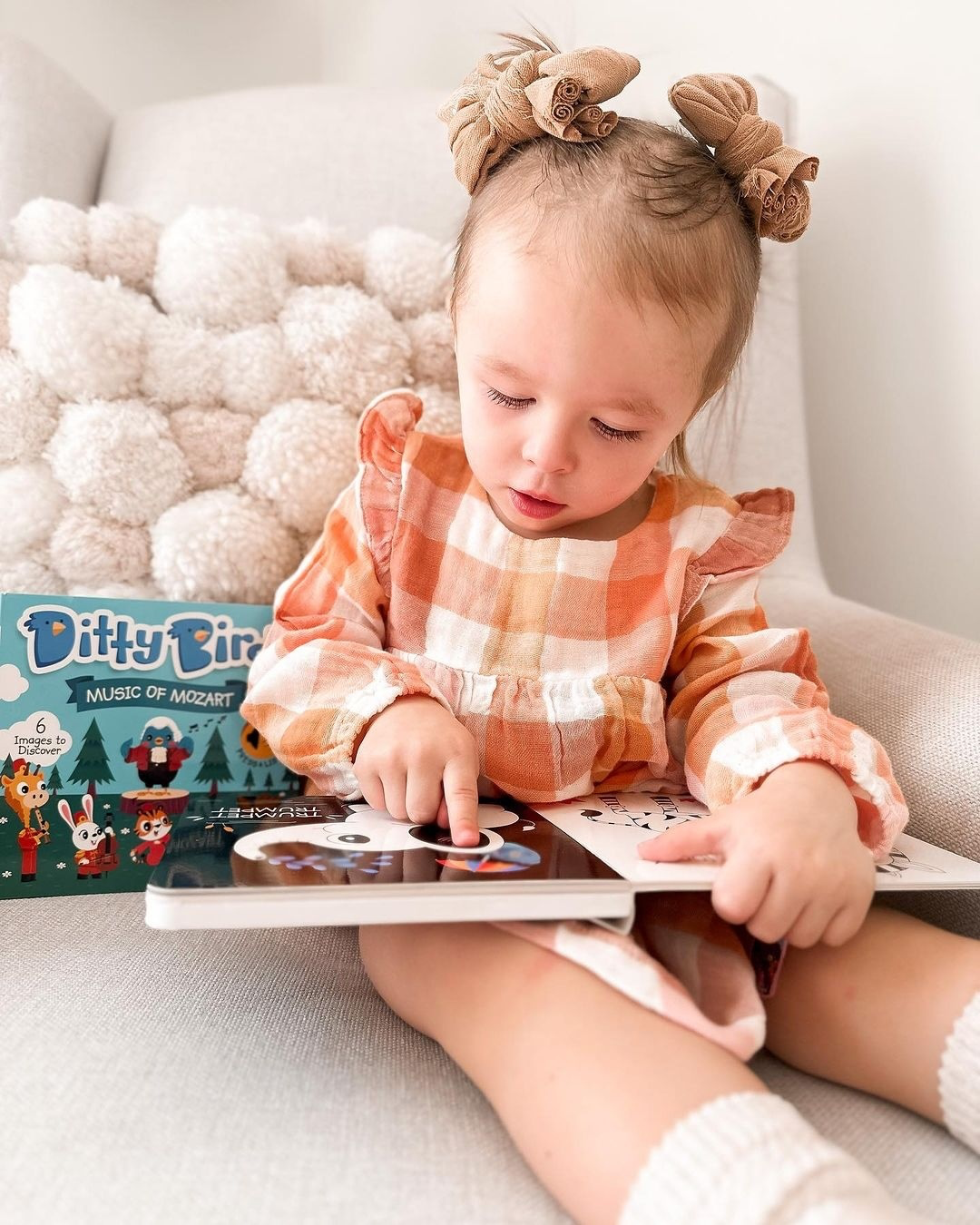 Carte pentru copii, Ditty Bird, Music of Mozart, 6+ luni
