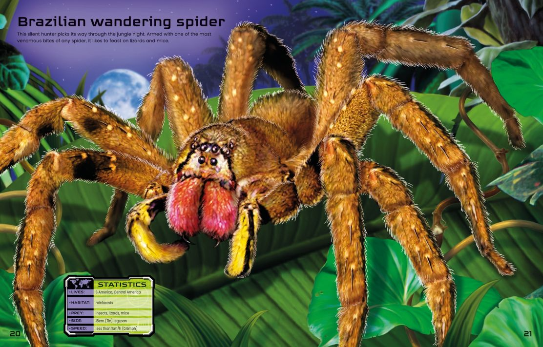 Carte pentru copii, Usborne, Build Your Own Deadly Animals, 5+ ani