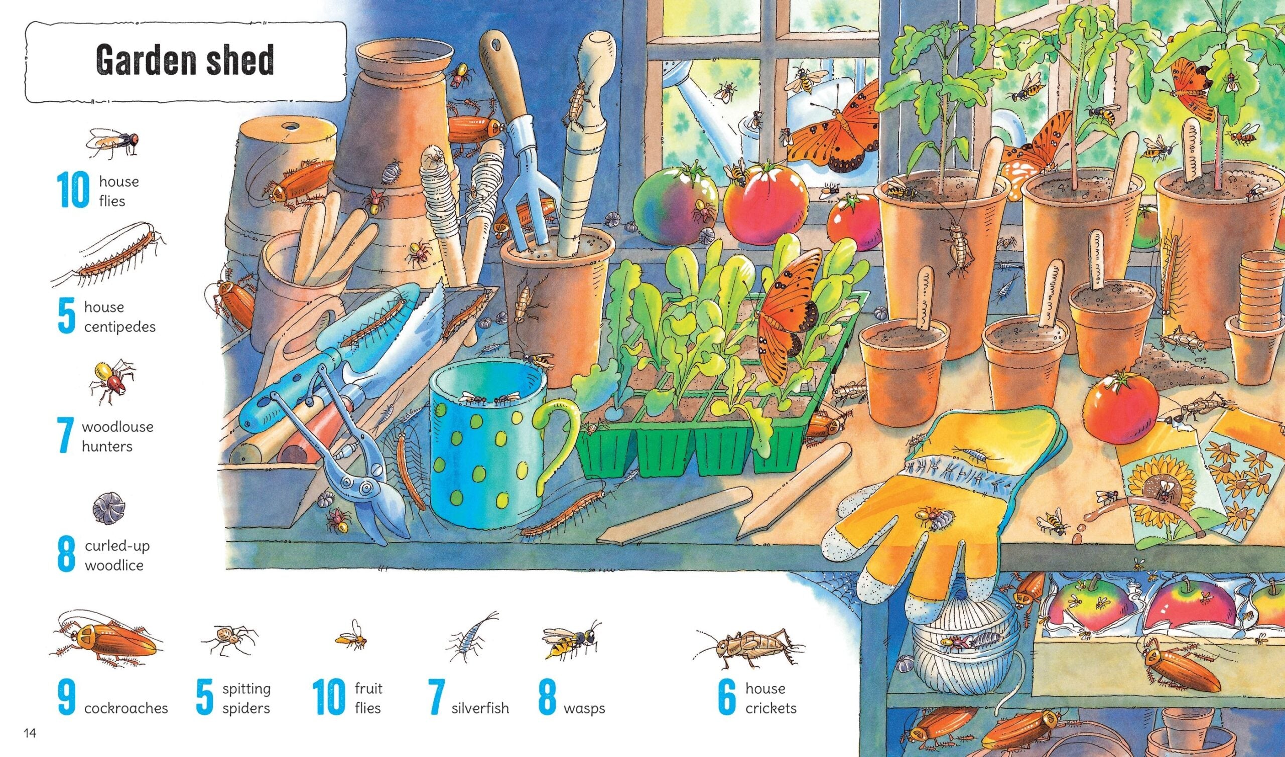 Carte pentru copii, Usborne, 1001 Bugs to Spot, 5+ ani