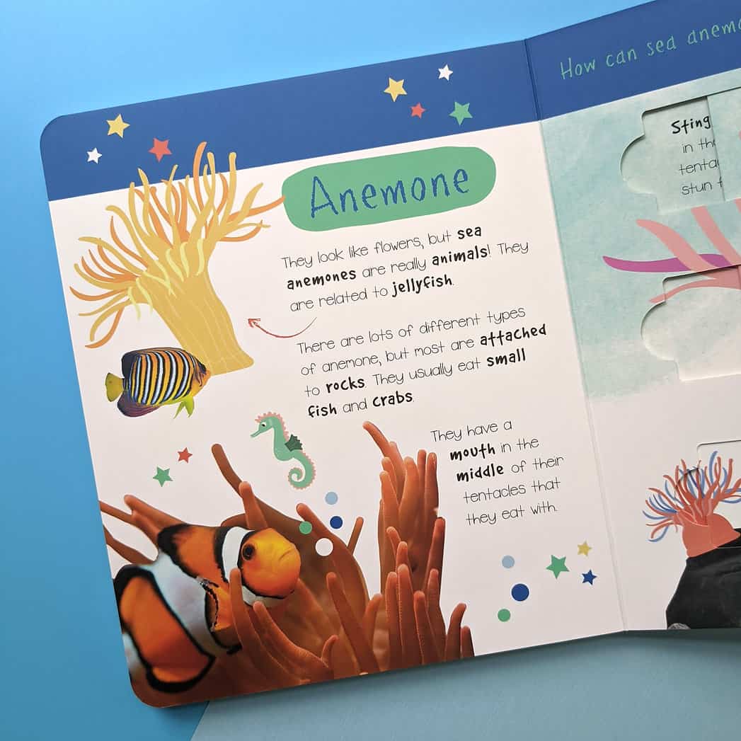 Carte pentru copii - Little Wonders Ocean Animals Puzzle Slider Board Book