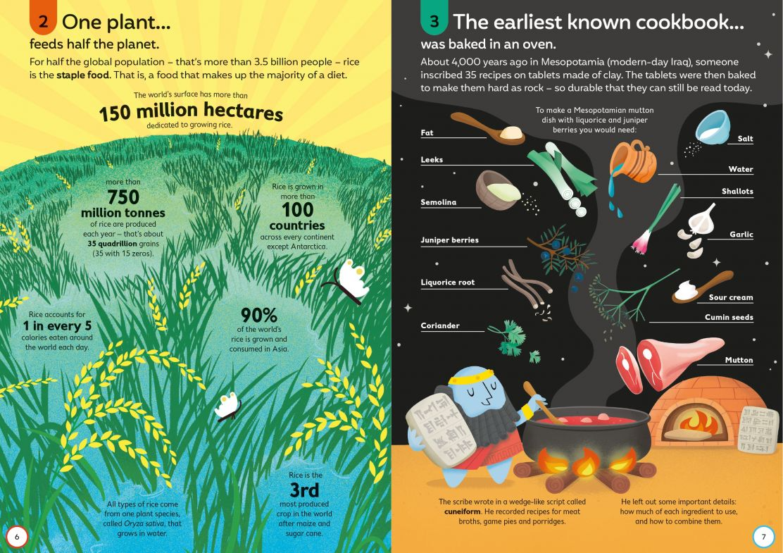 Carte pentru copii, Usborne, 100 Things to Know About Food, 8+ ani