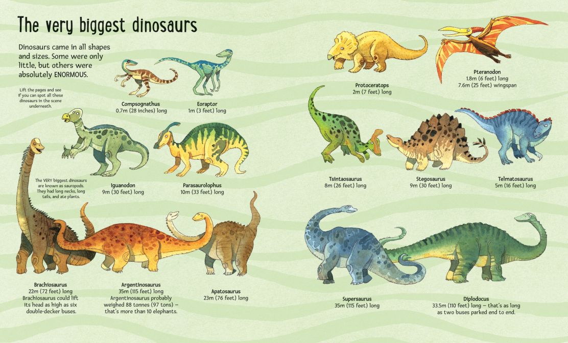 BIG BOOK OF BIG DINOSAURS