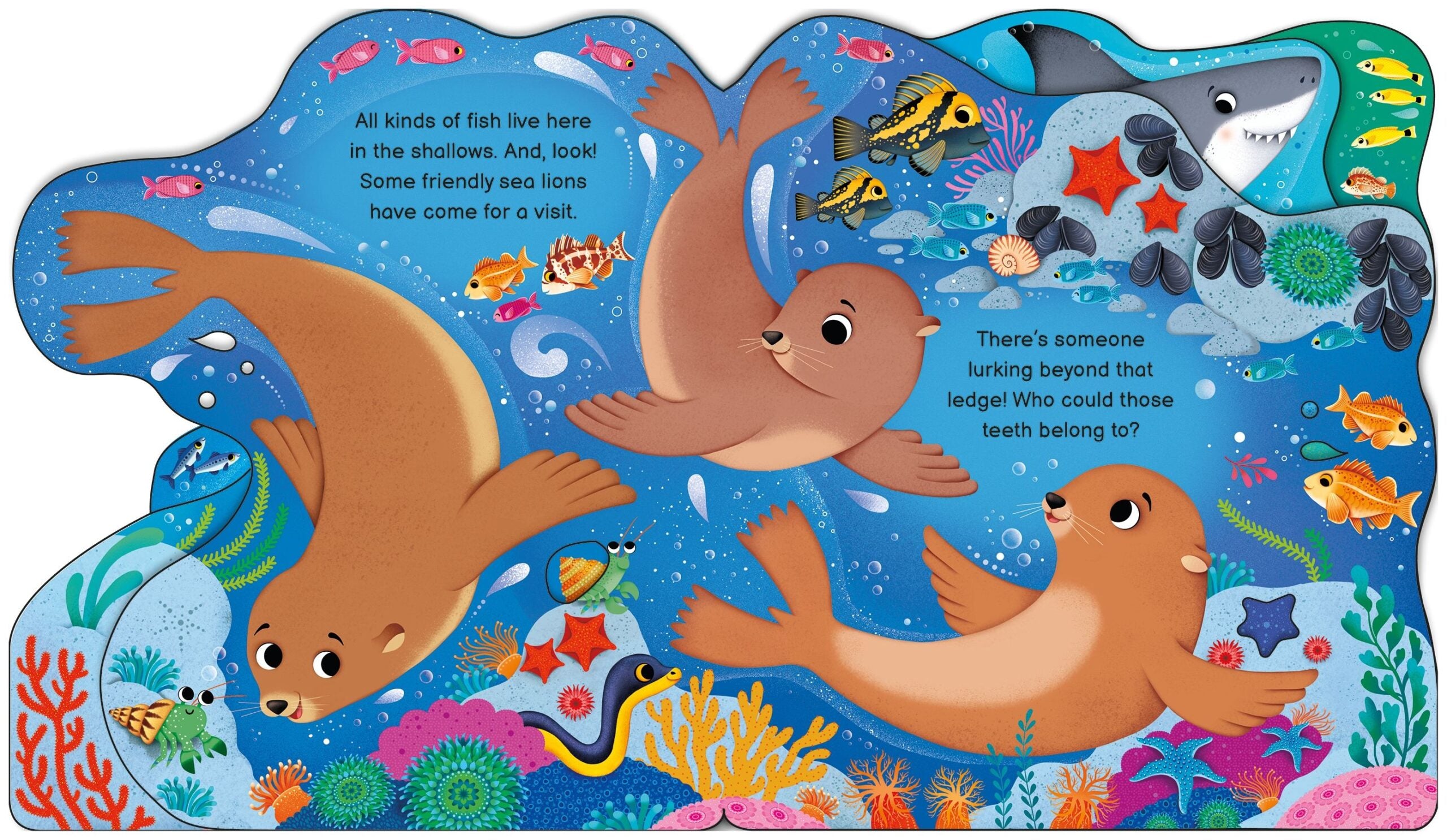 Carte pentru copii, Usborne, Who's in the Ocean Today?, 12+ luni