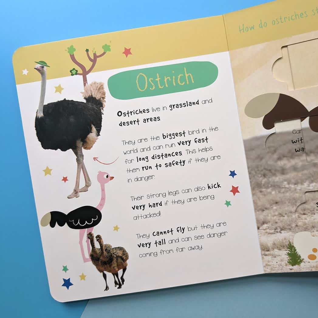 Carte pentru copii - Little wonders puzzle slider books - desert animals