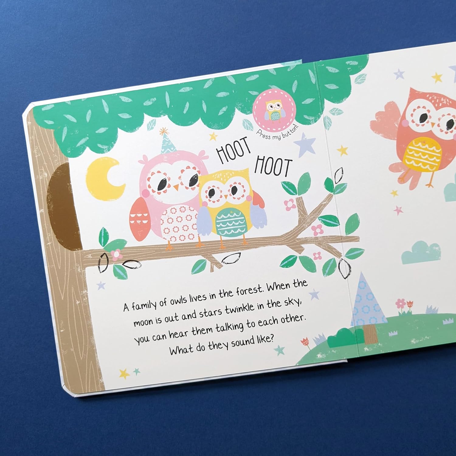 Carte pentru copii, NPP, Hoot Hoot In The Noisy Forest - Children's 12 Button Sound Book, 0+ ani