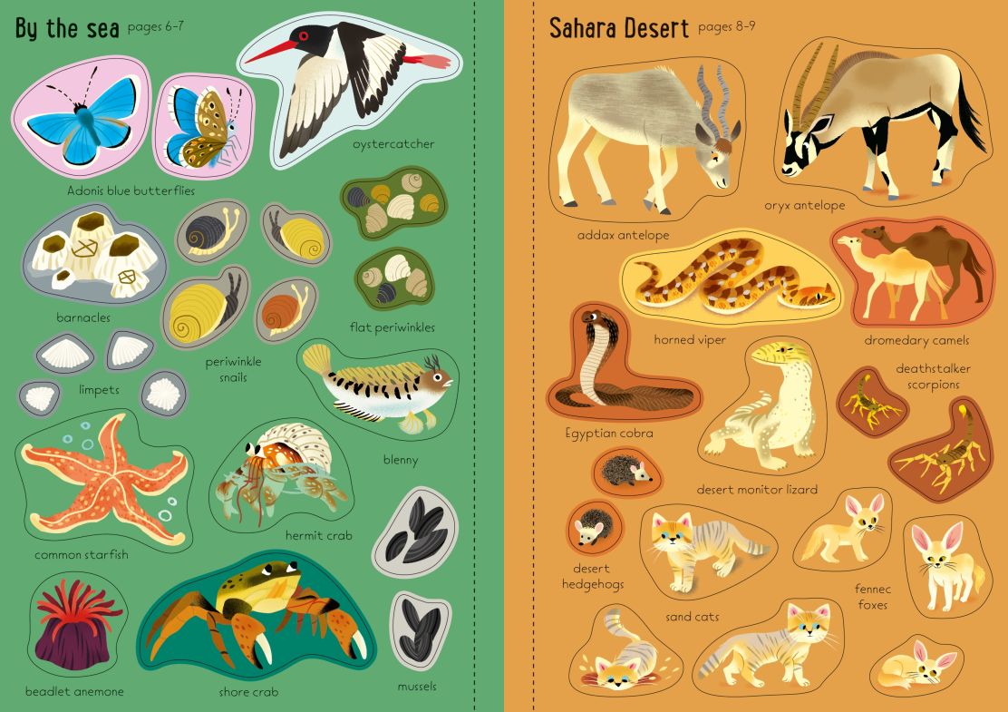 Carte pentru copii, Usborne, Little First Stickers Nature, 3+ ani