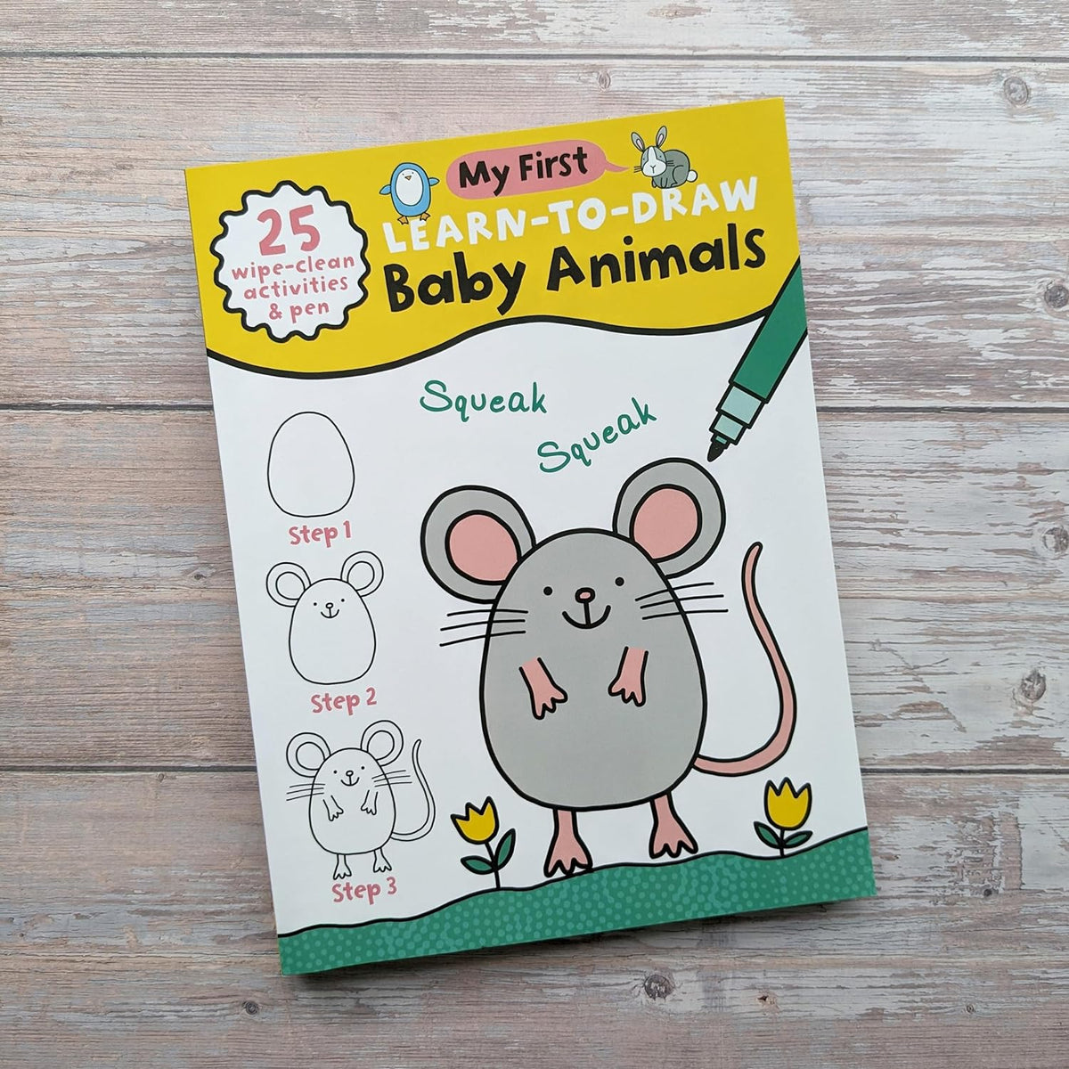 Carte pentru copii, NPP, Children's Learn-To-Draw Activity Book - Baby Animals, 4+ ani