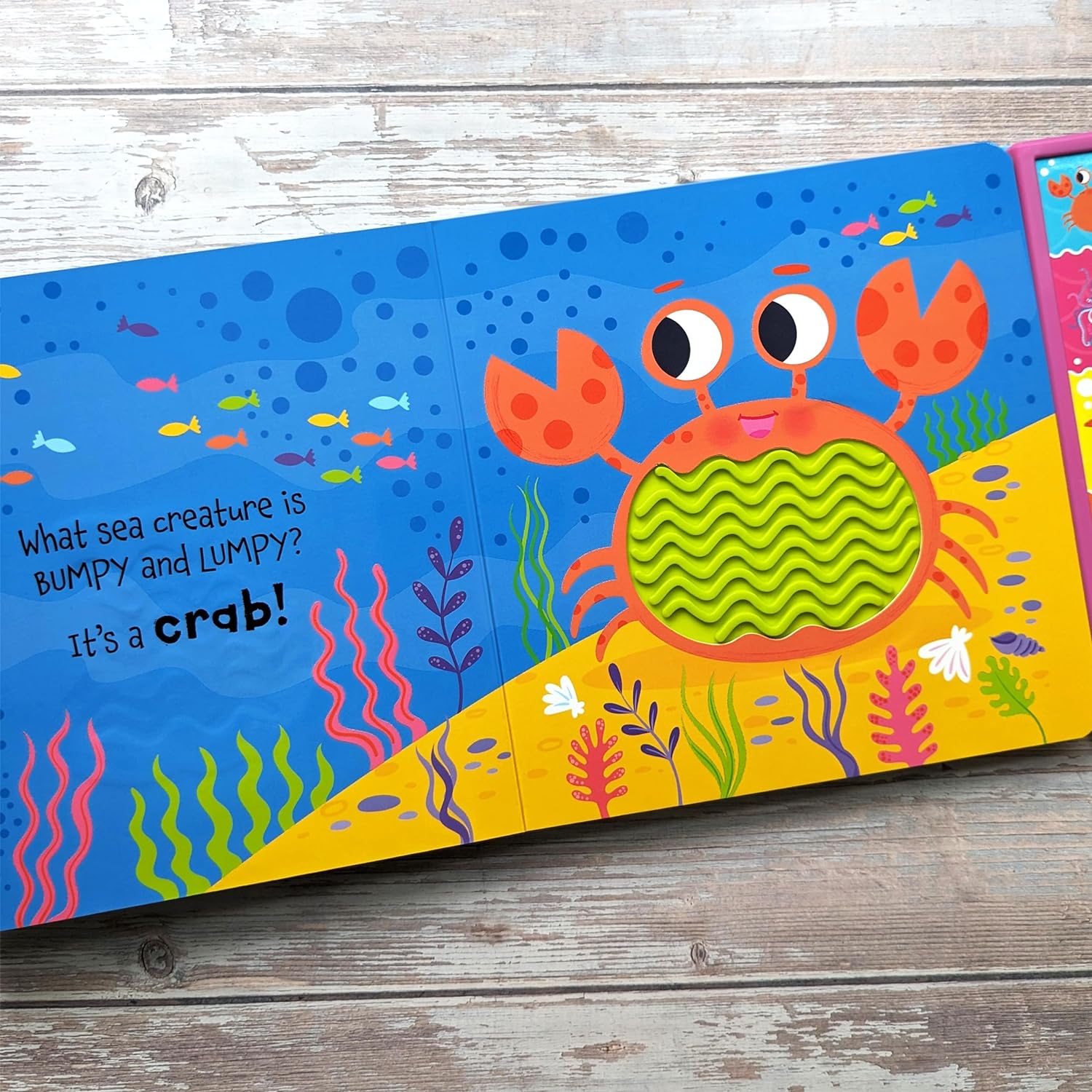 Carte cu sunete, NPP, OCEAN, 1 an+