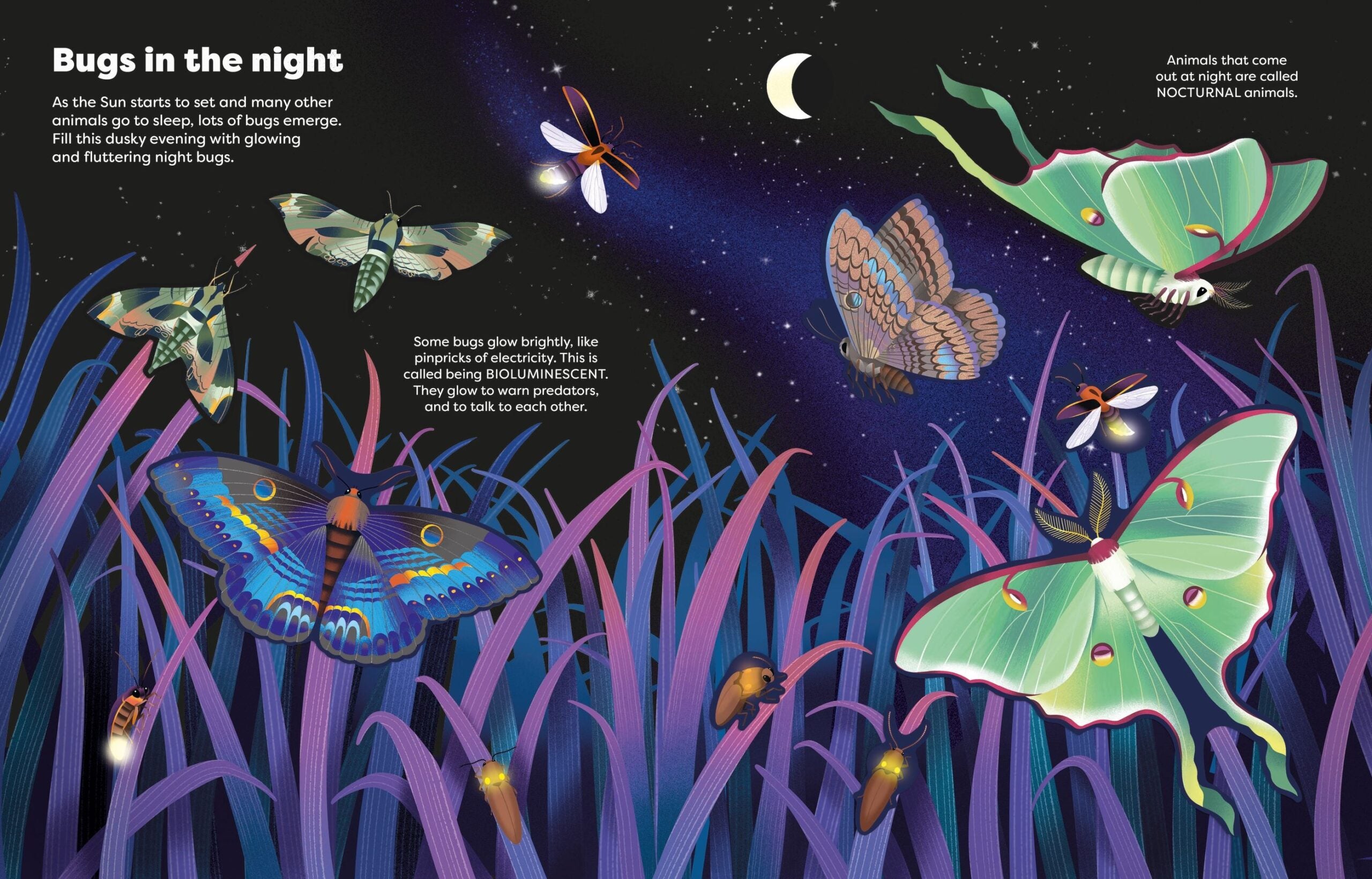 Carte pentru copii, Usborne, Big Sticker Book Bugs, 5+ ani