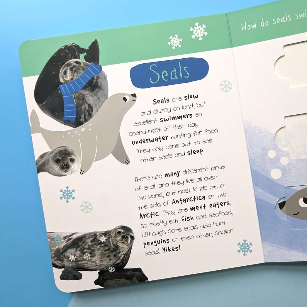 Carte pentru copii - Little wonders puzzle slider books - polar animals