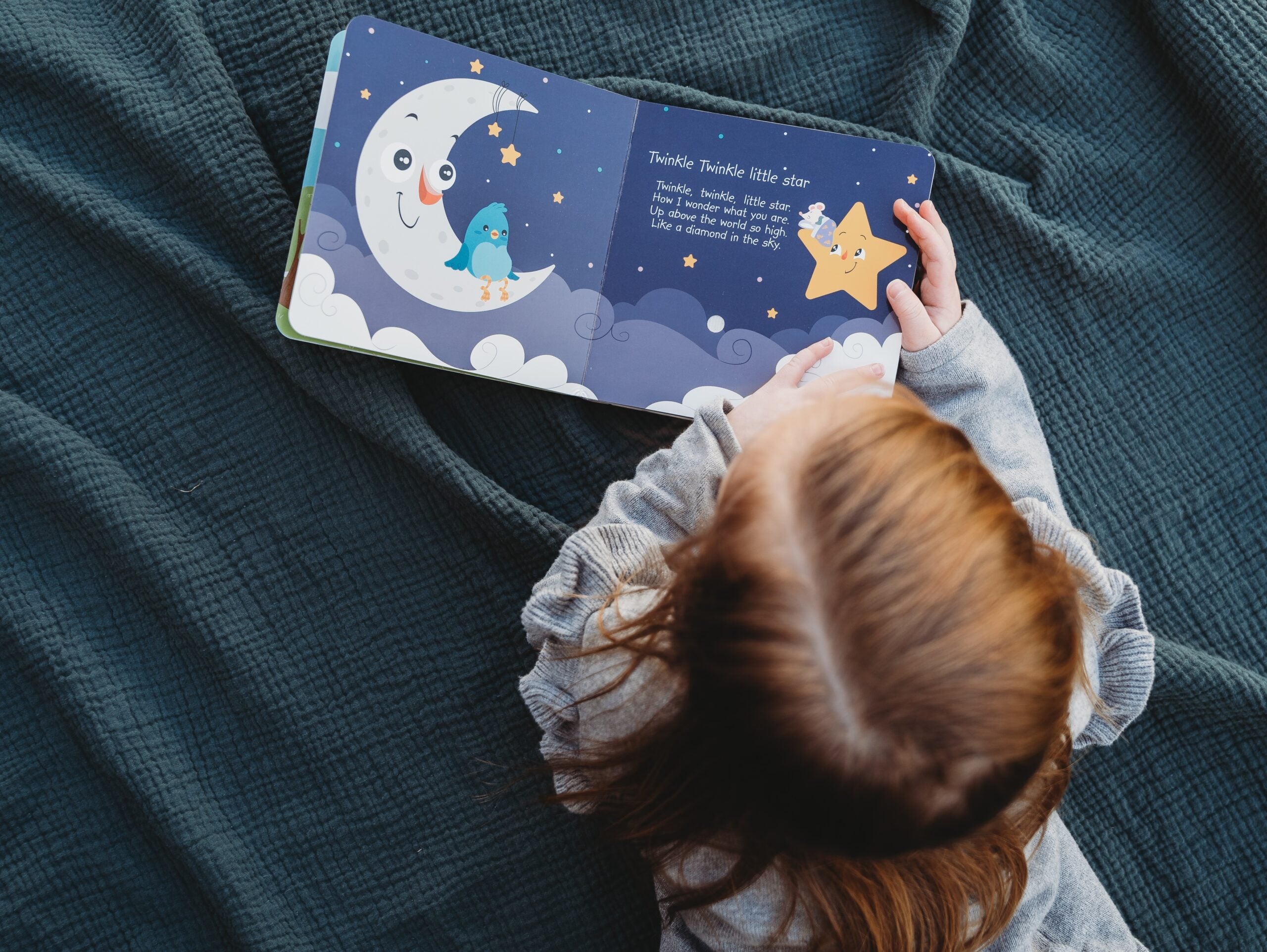 Carte pentru copii, Ditty Bird, Bedtime Songs, 6+ luni