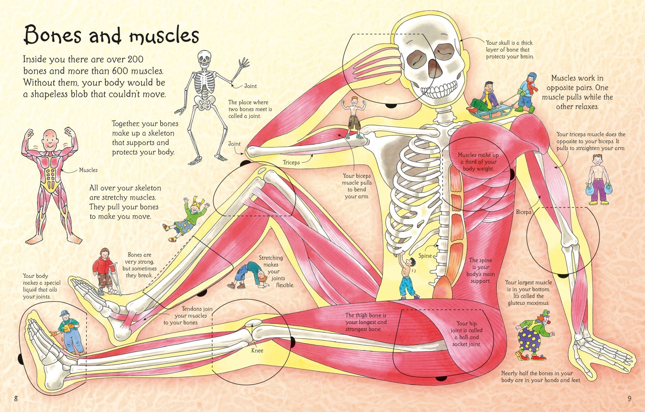 Carte pentru copii - See Inside Your Body