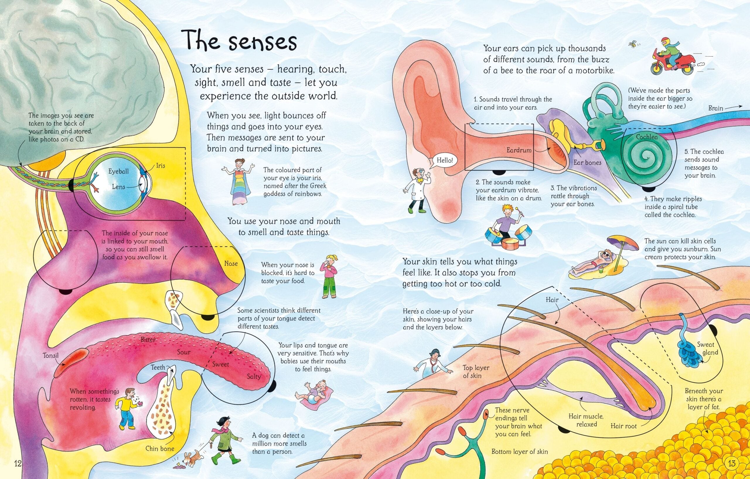 Carte pentru copii - See Inside Your Body
