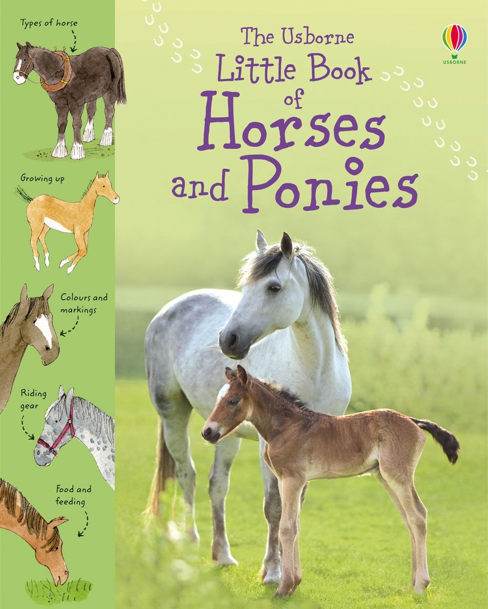 Carte pentru copii - Little Book of Horses and Ponies