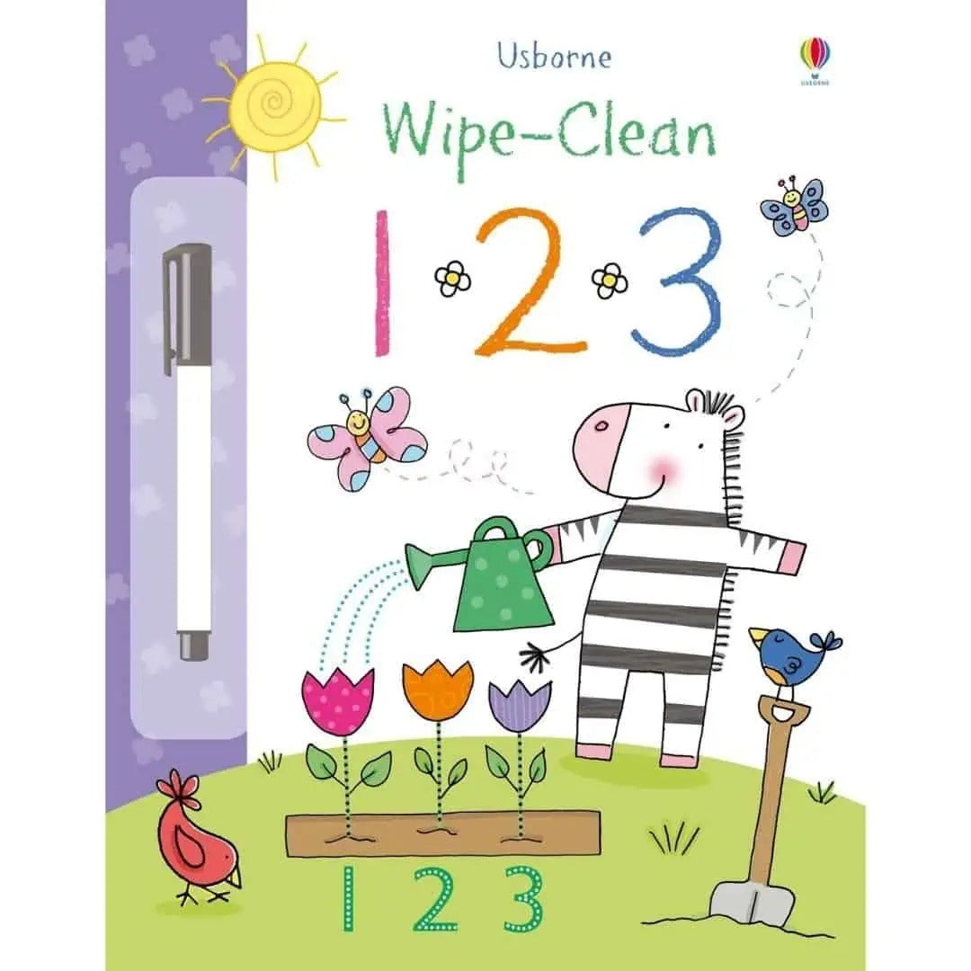 Carte cu activitati scrie si sterge - Wipe-Clean 123