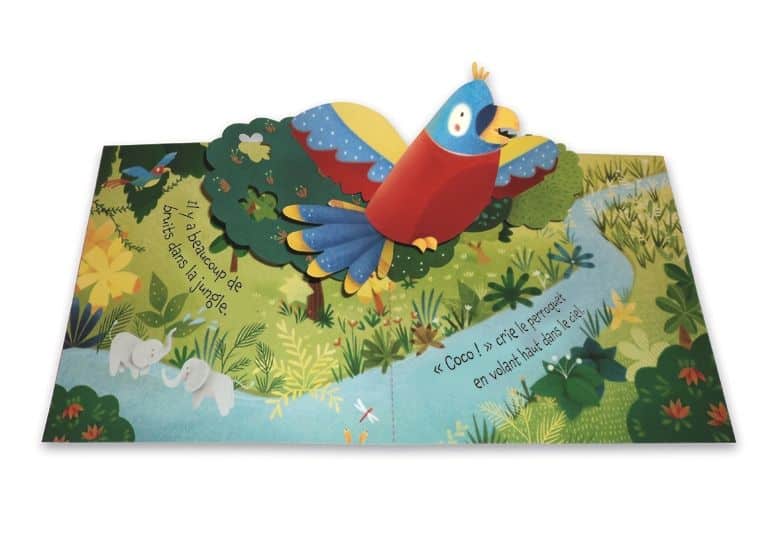 Carte  despre jungla - Carte pentru copii - Pop- Up: Jungle