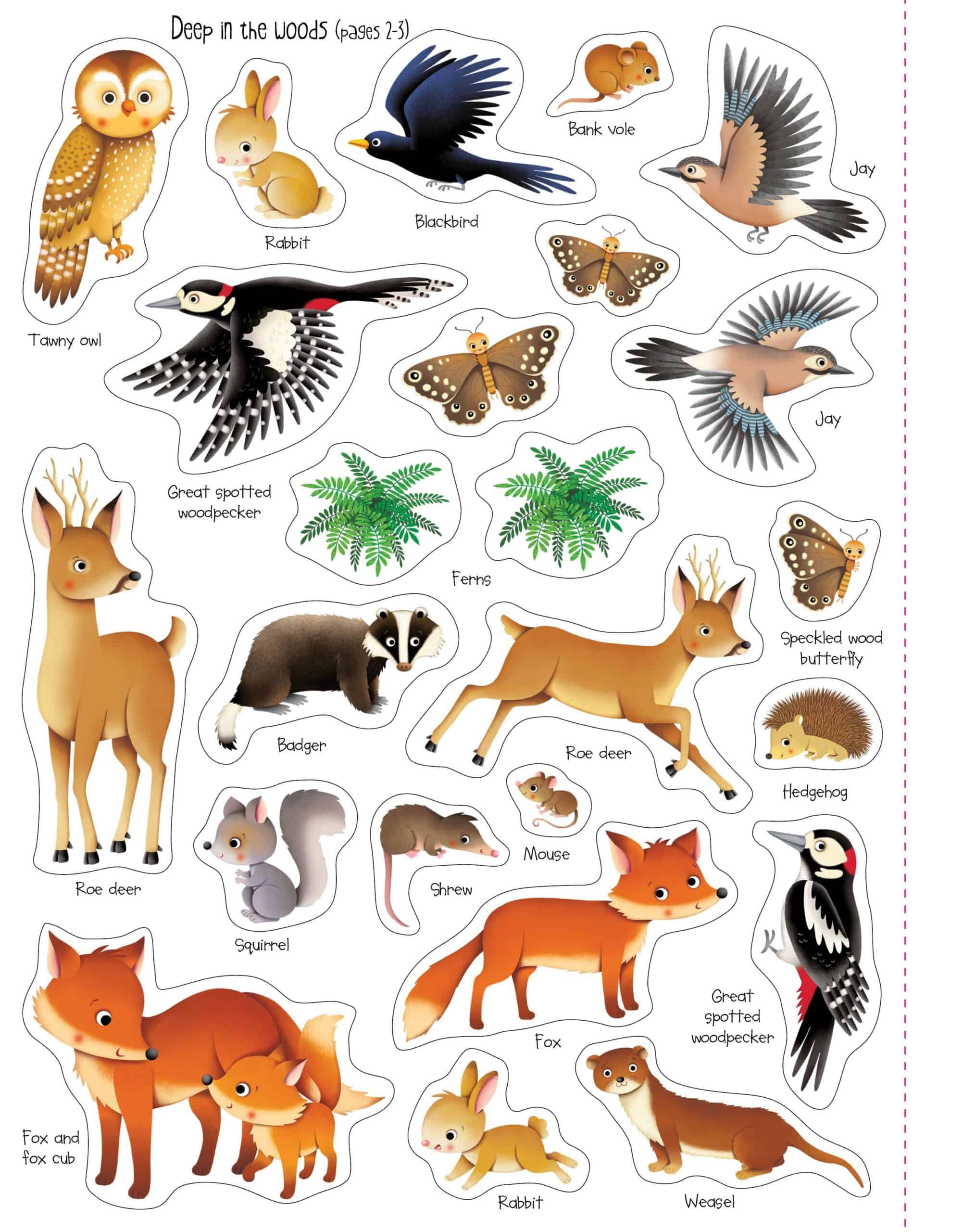 Carte pentru copii - First Sticker Book: Nature