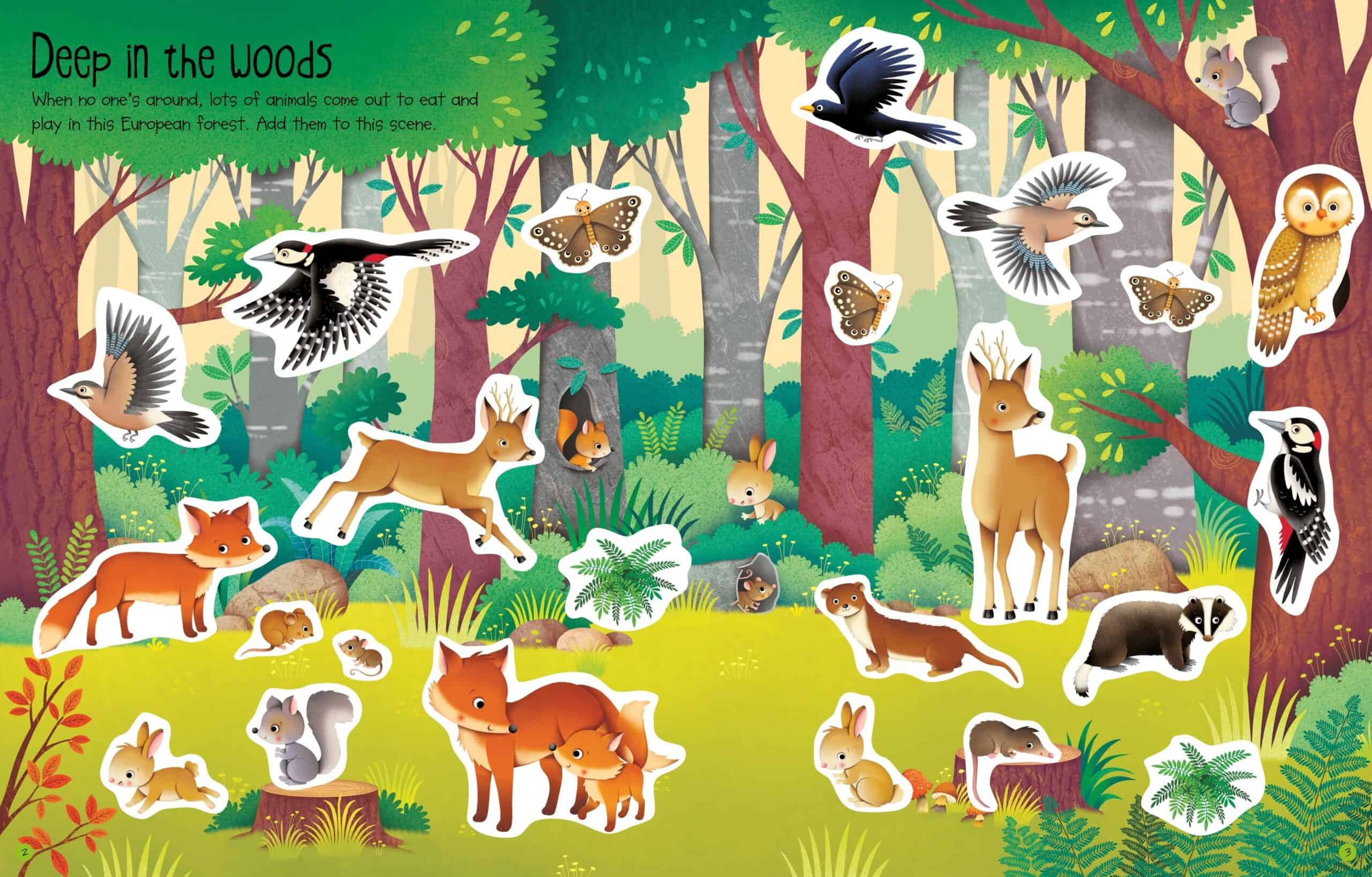 Carte pentru copii - First Sticker Book: Nature