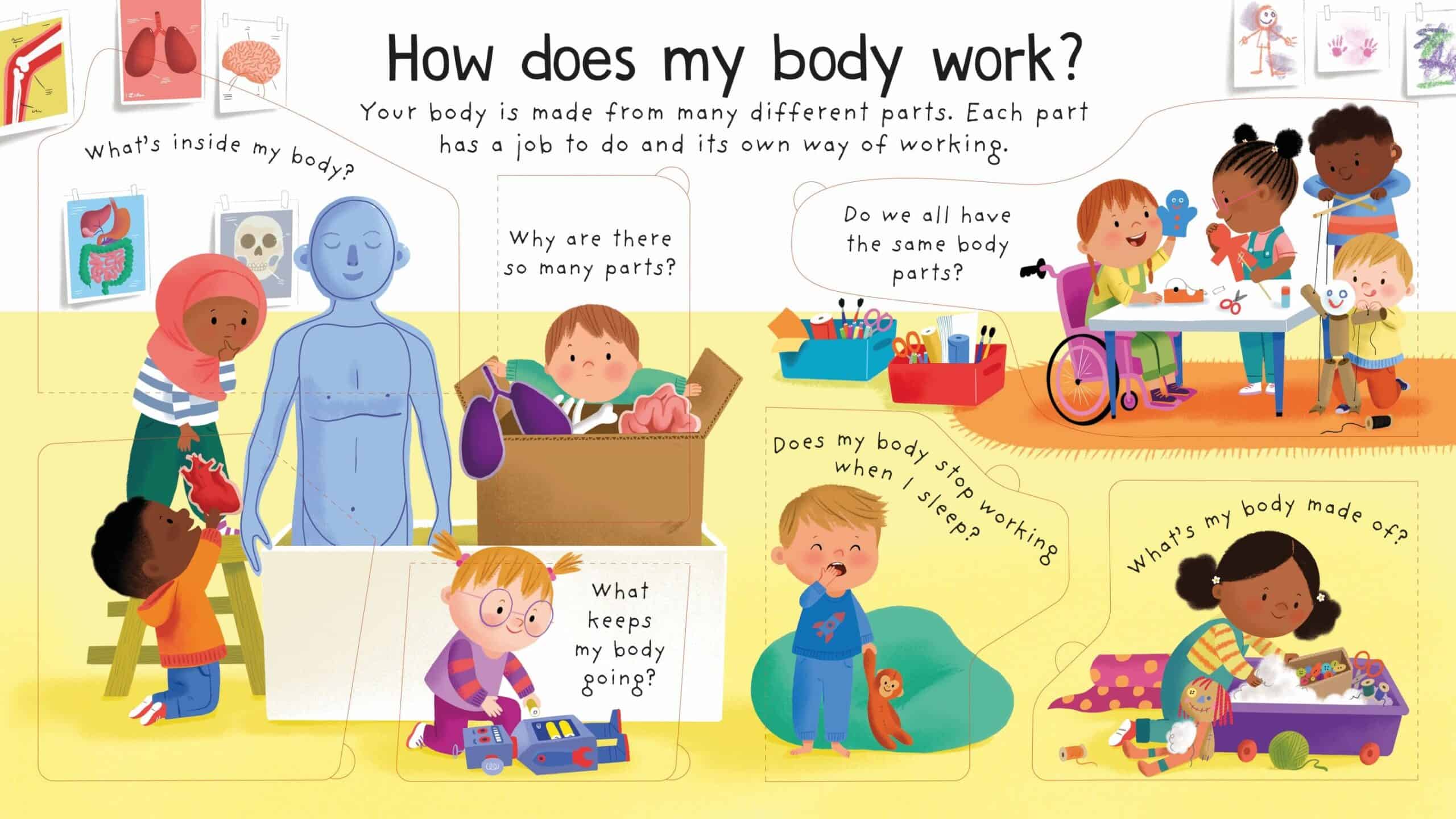 Carte pentru copii - Lift-the-Flap First Questions and Answers: How does my body work?