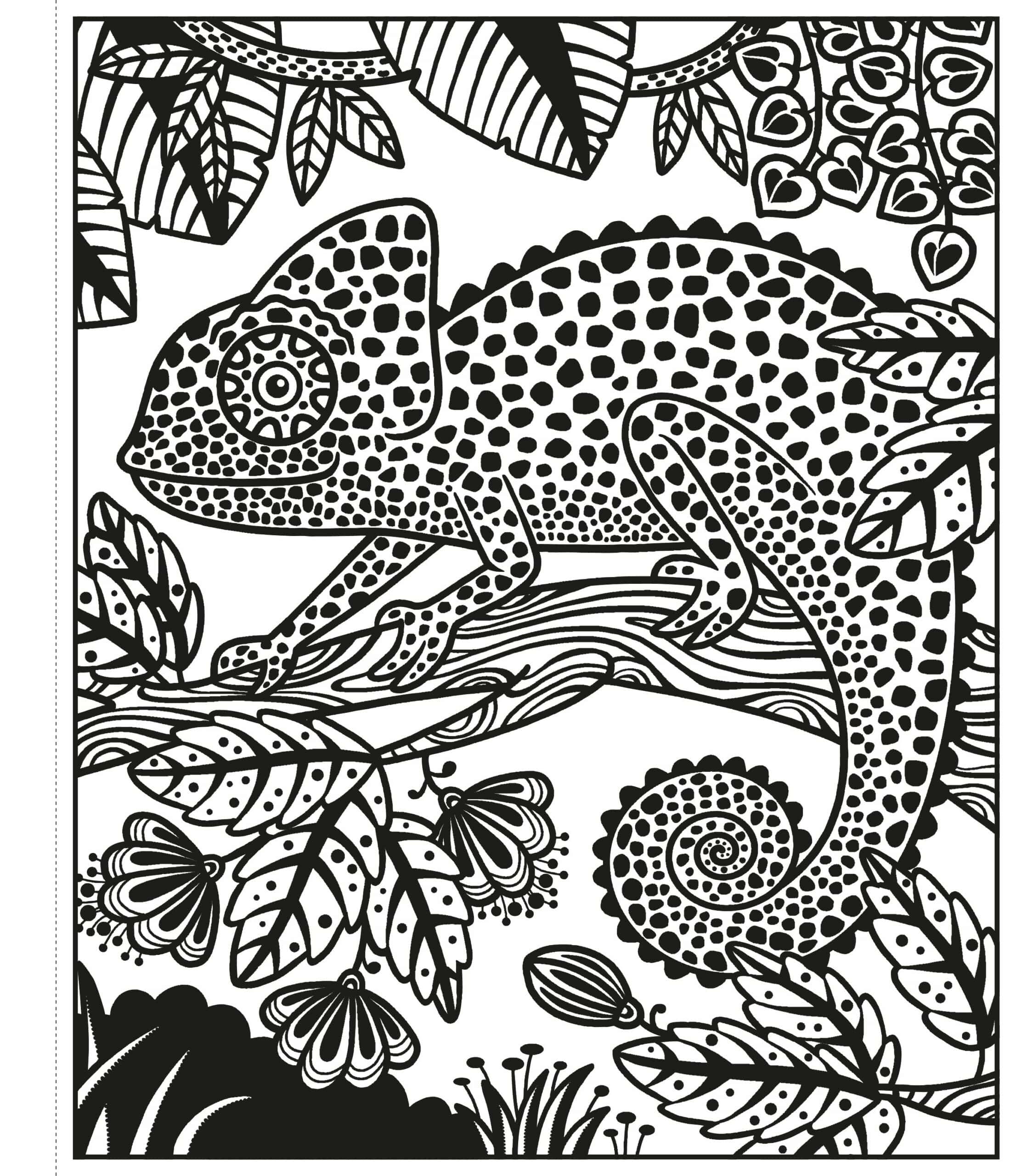 Carte de pictat cu apa –Jungle Magic Painting Book