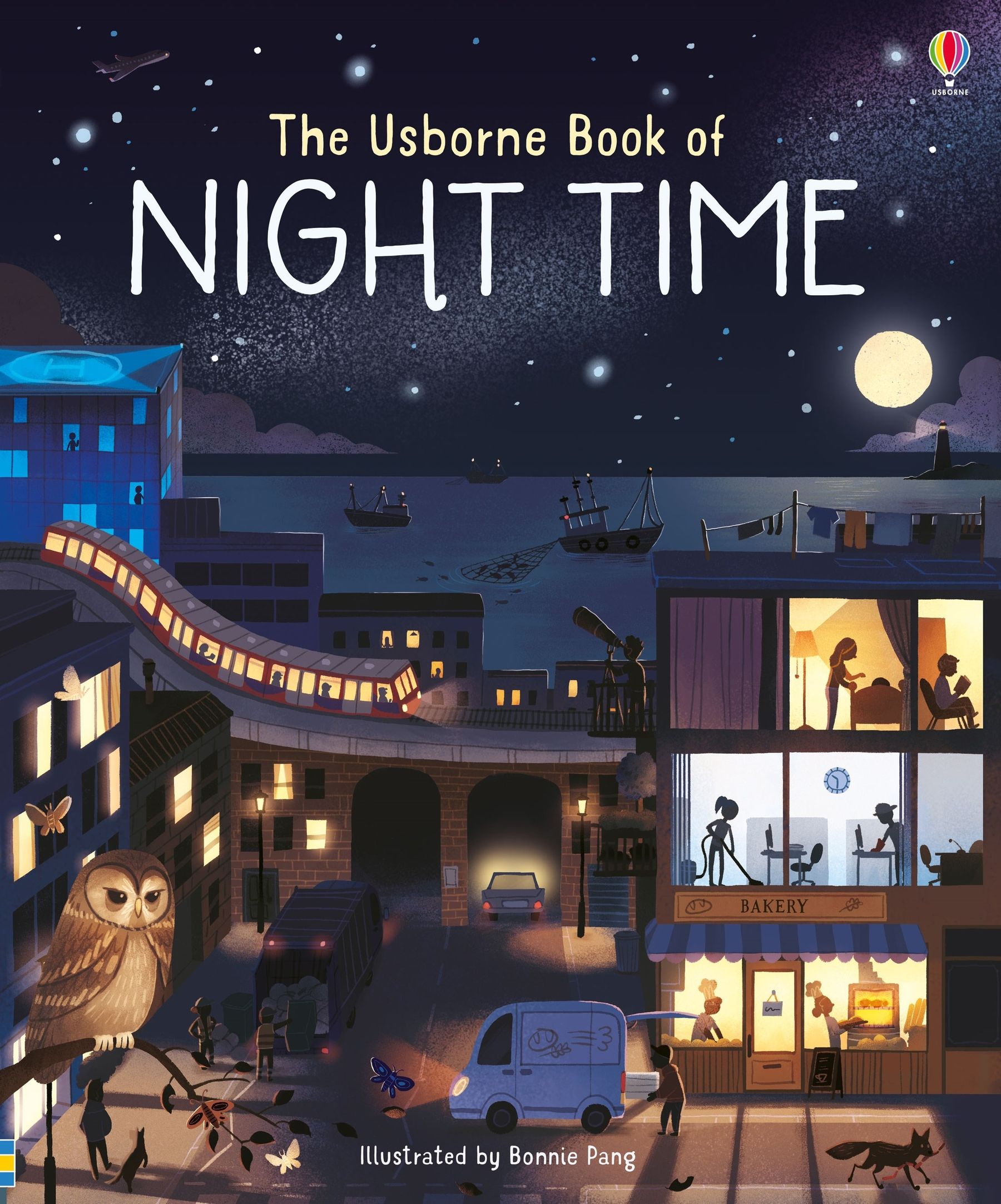 Carte pentru copii - The Usborne Book of Night Time