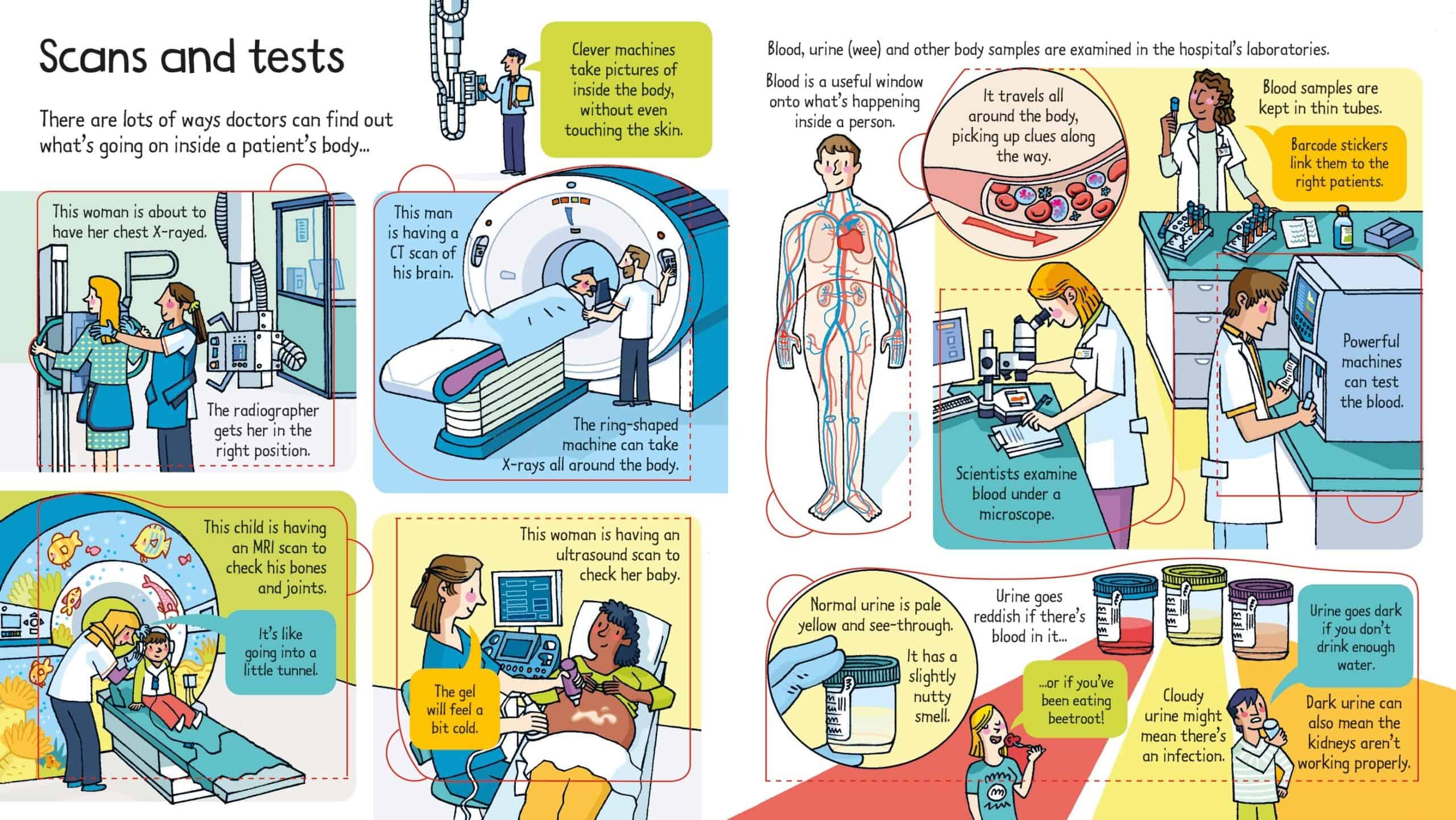 Look Inside: A Hospital